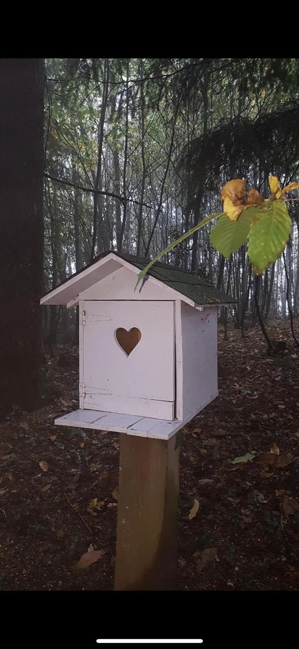 Kitchen or kitchenette in Bulle d'R Kitchen or kitchenette in Bulle d'R