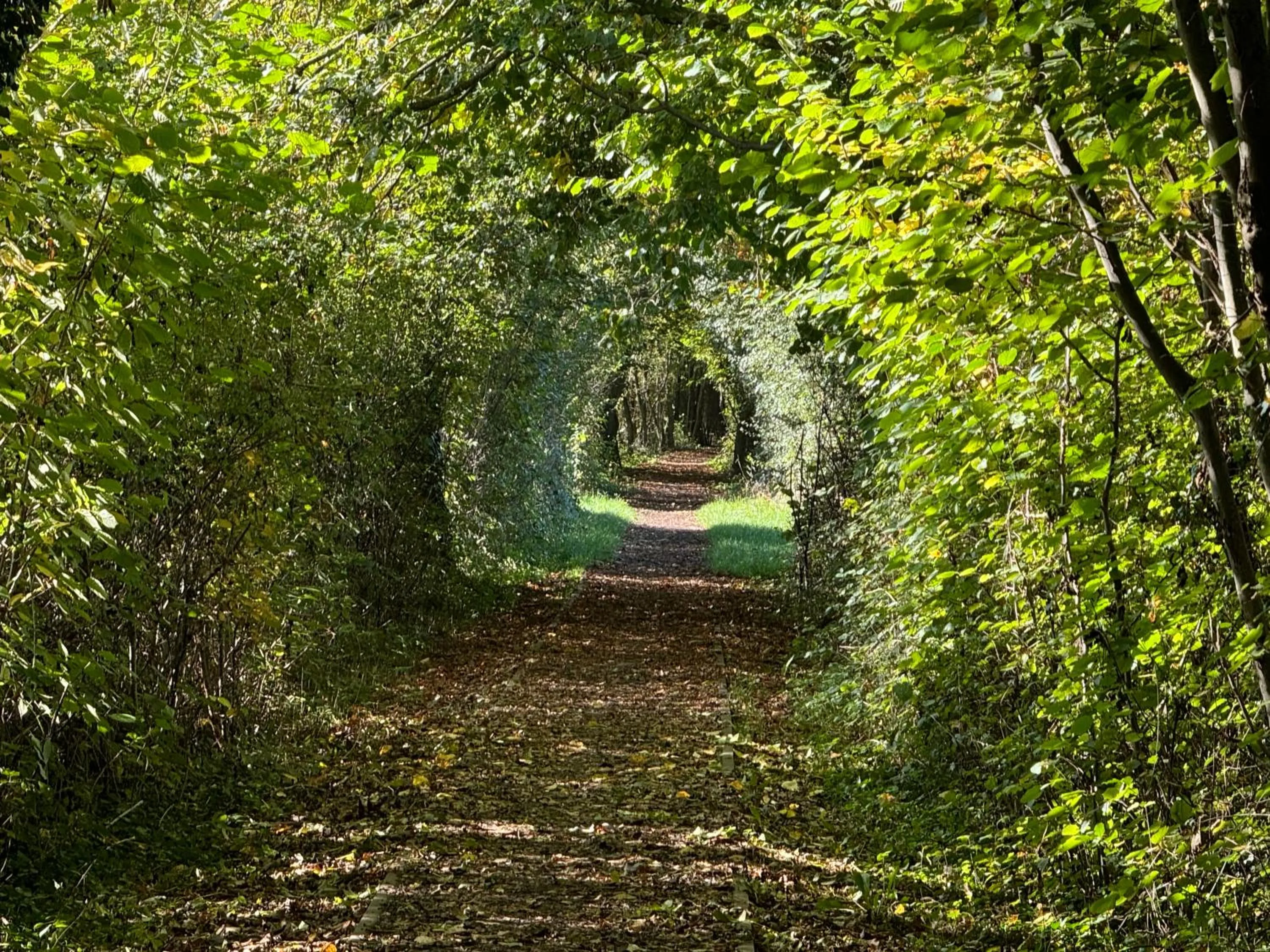 Country house Au Ballet des Hirondelles