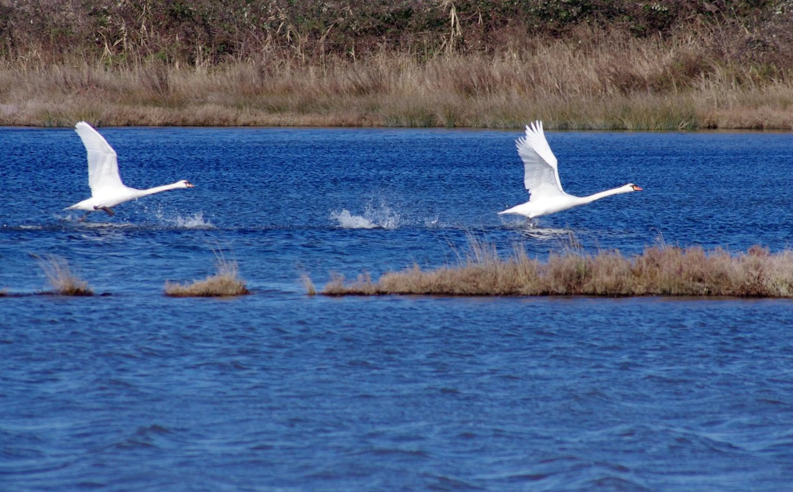 Property building in Camping Union Lido