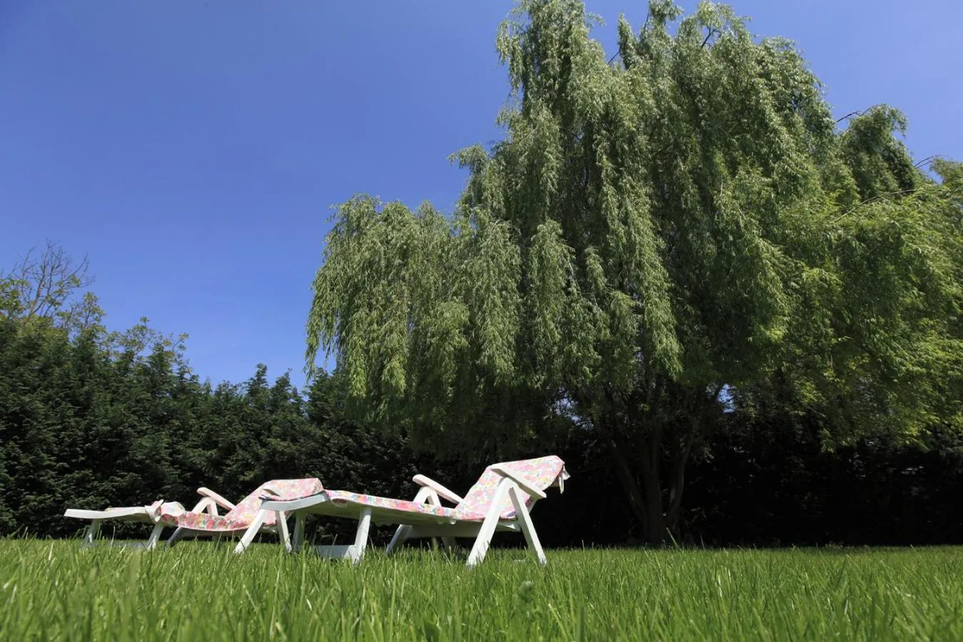 Garden in Borgo Dei Sensi