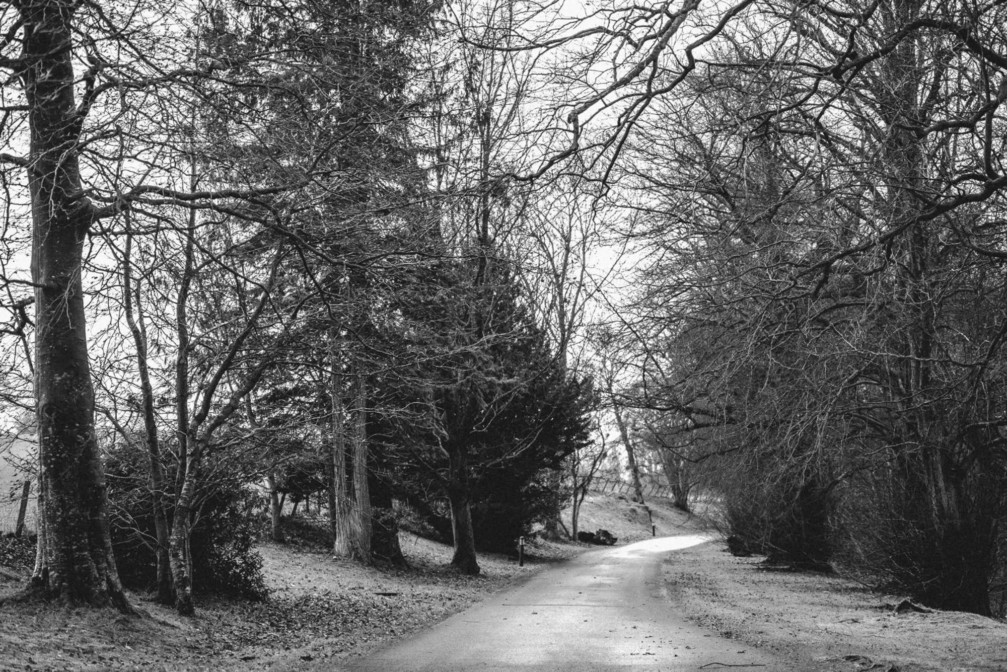 Natural landscape in Cornhill Castle