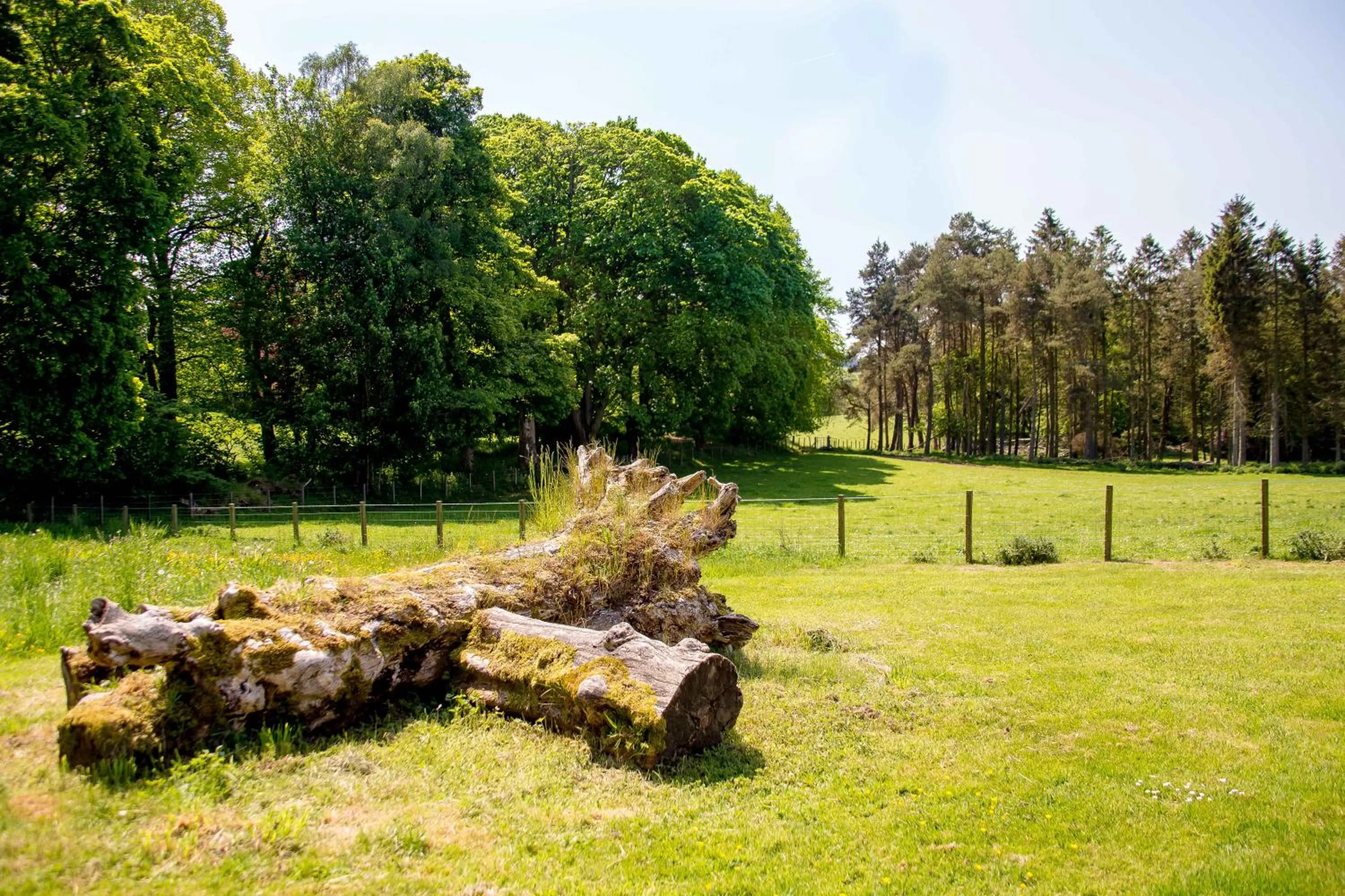 Garden in Cornhill Castle