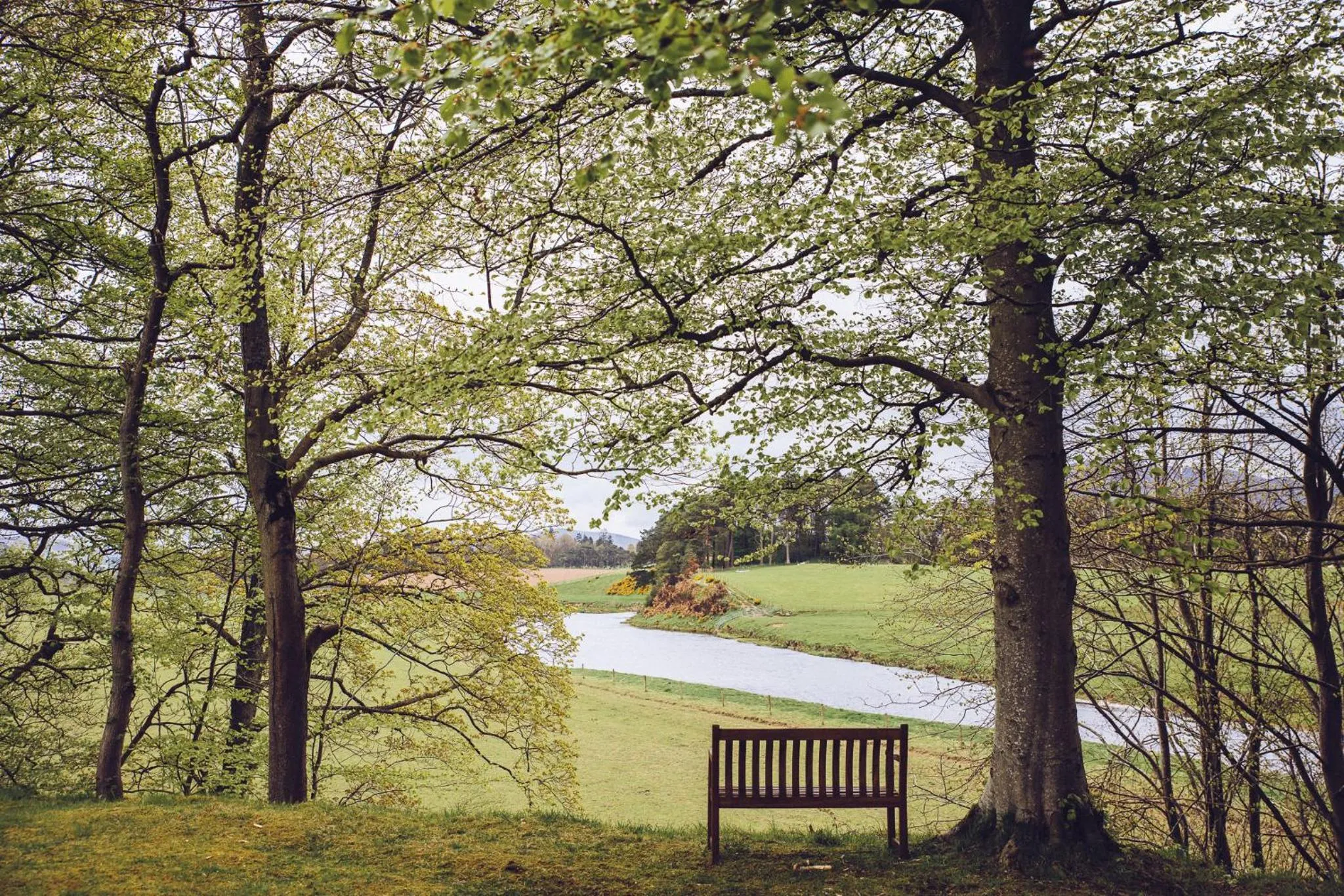 Area and facilities in Cornhill Castle