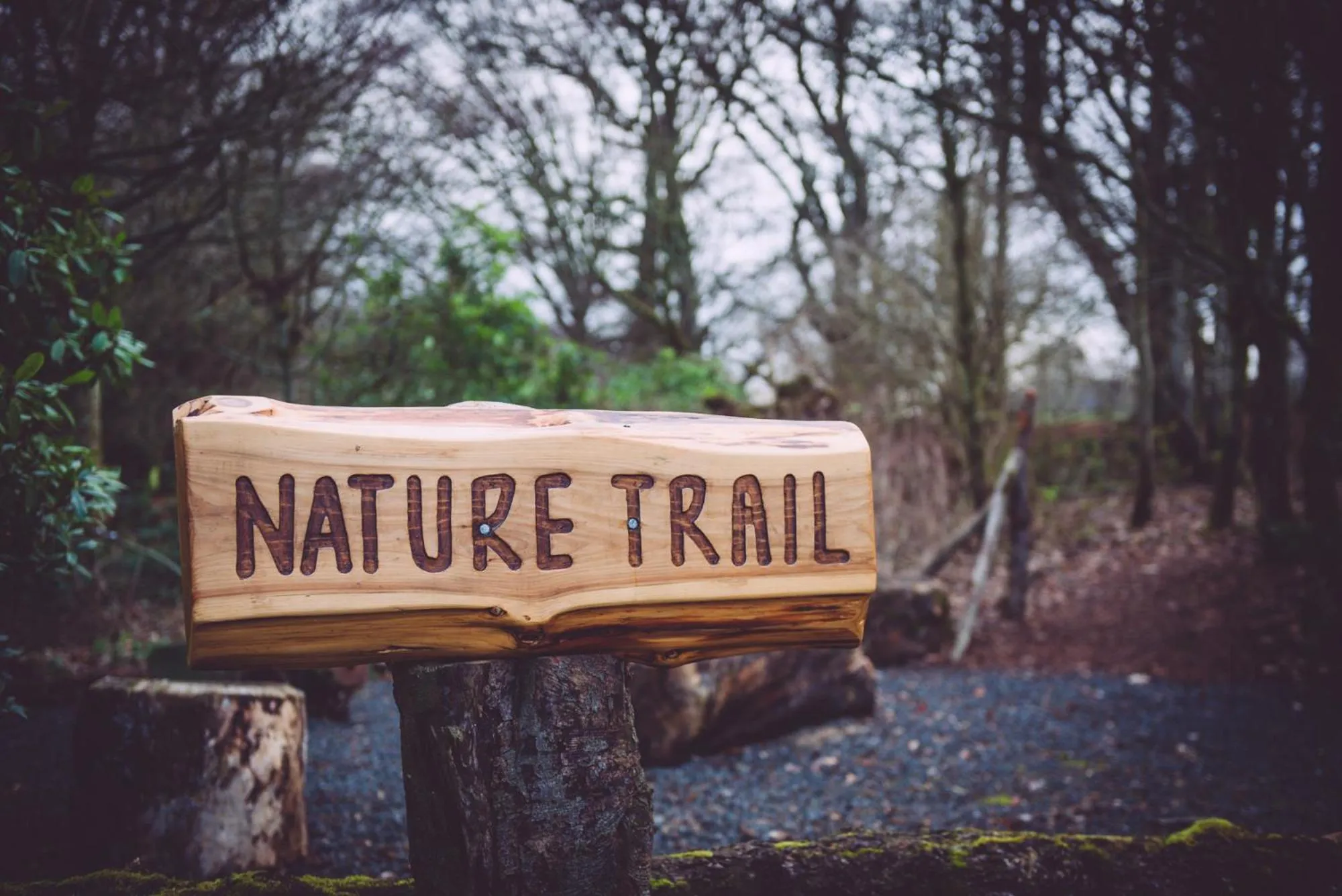 Garden in Cornhill Castle