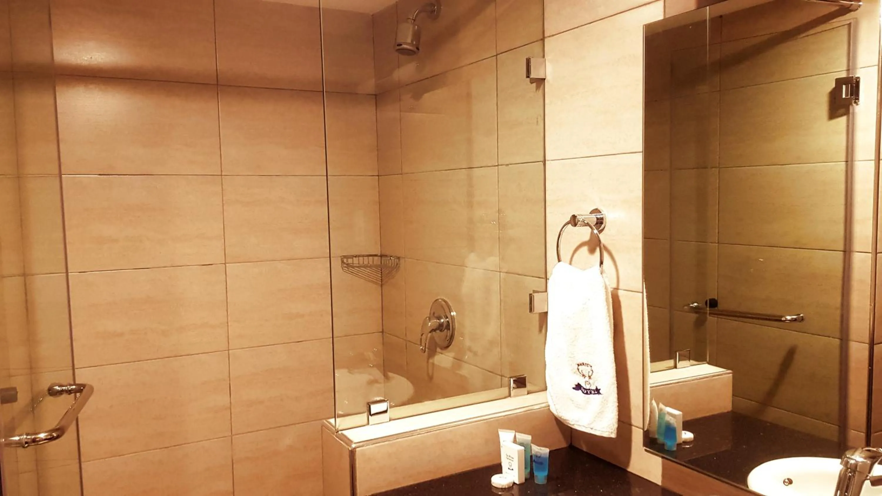 Bathroom in Merica Hotel