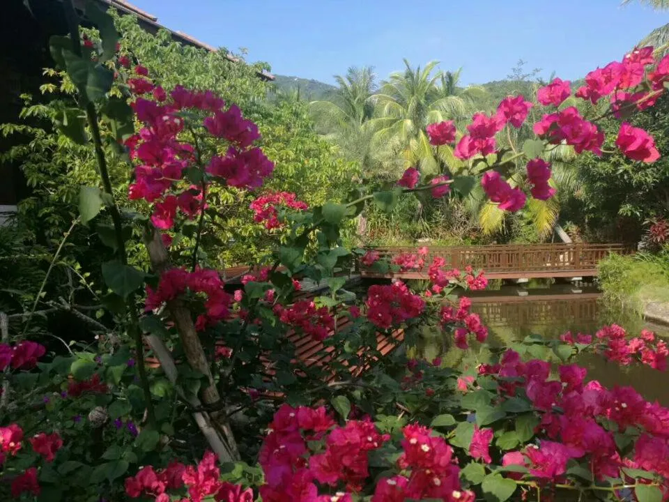 Garden view in Stony Brook Villa Jianguo Resort Sanya