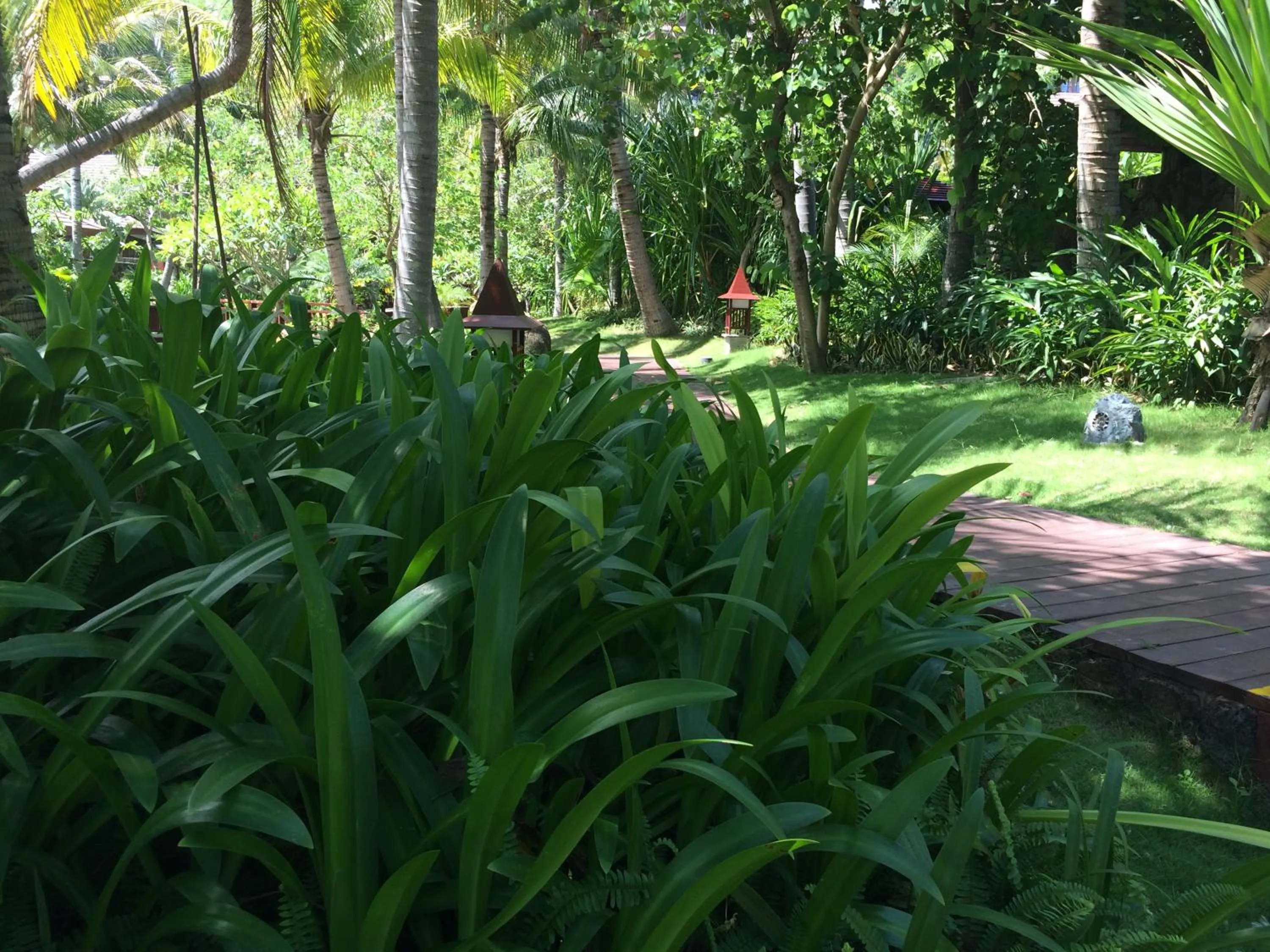 Garden in Stony Brook Villa Jianguo Resort Sanya