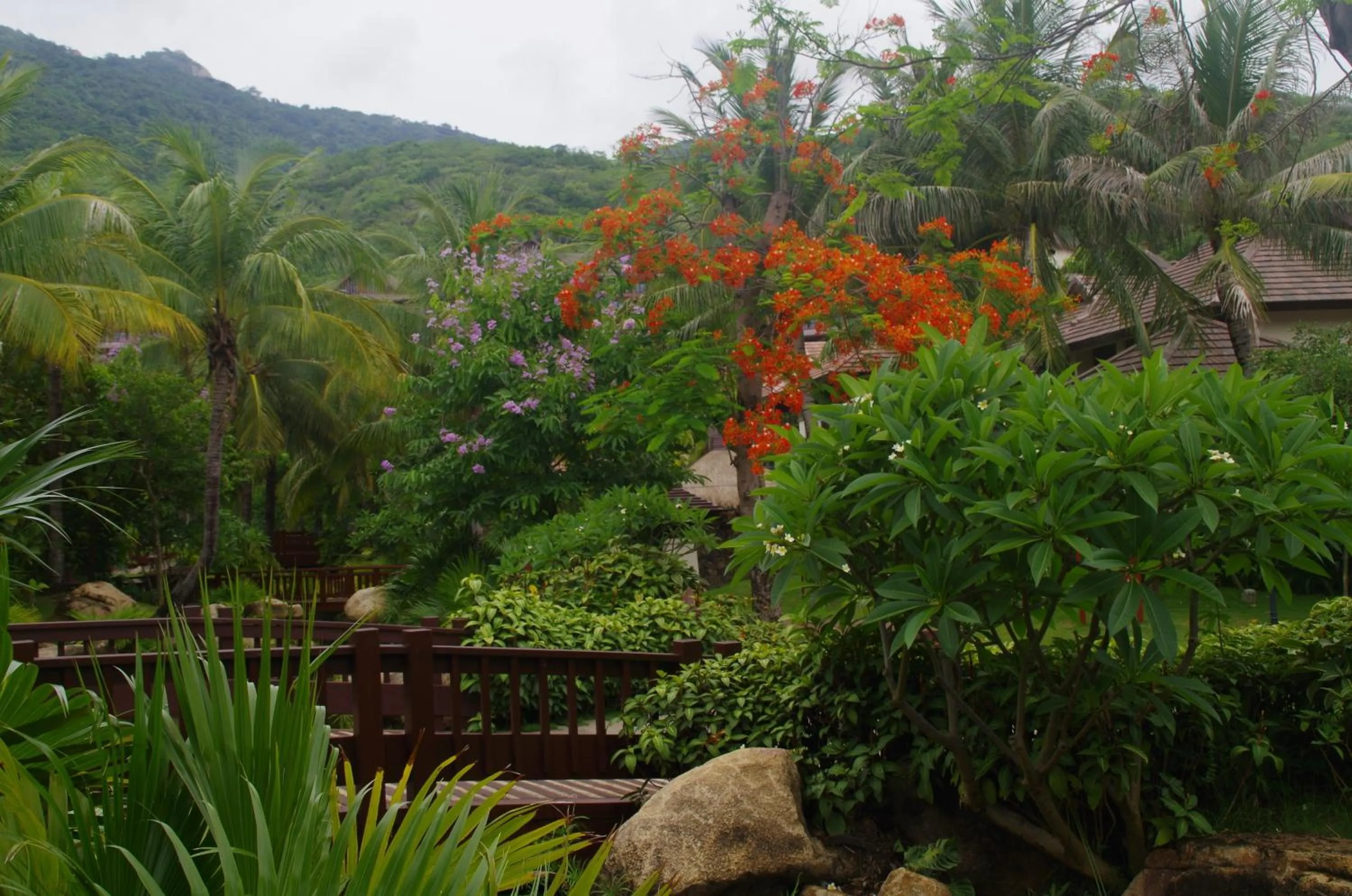 Garden in Stony Brook Villa Jianguo Resort Sanya