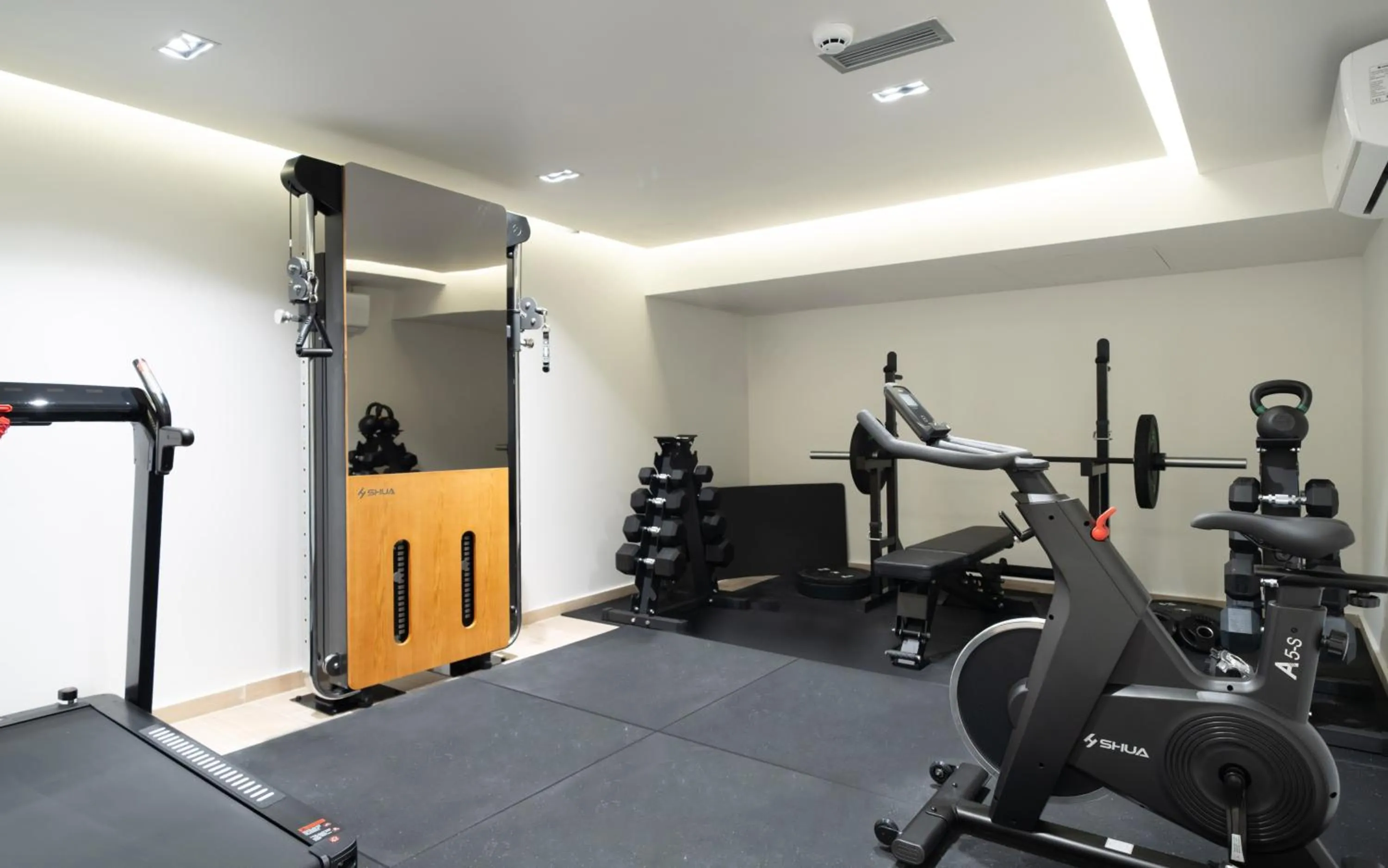 Fitness centre/facilities in Aeolian Spirit Suites