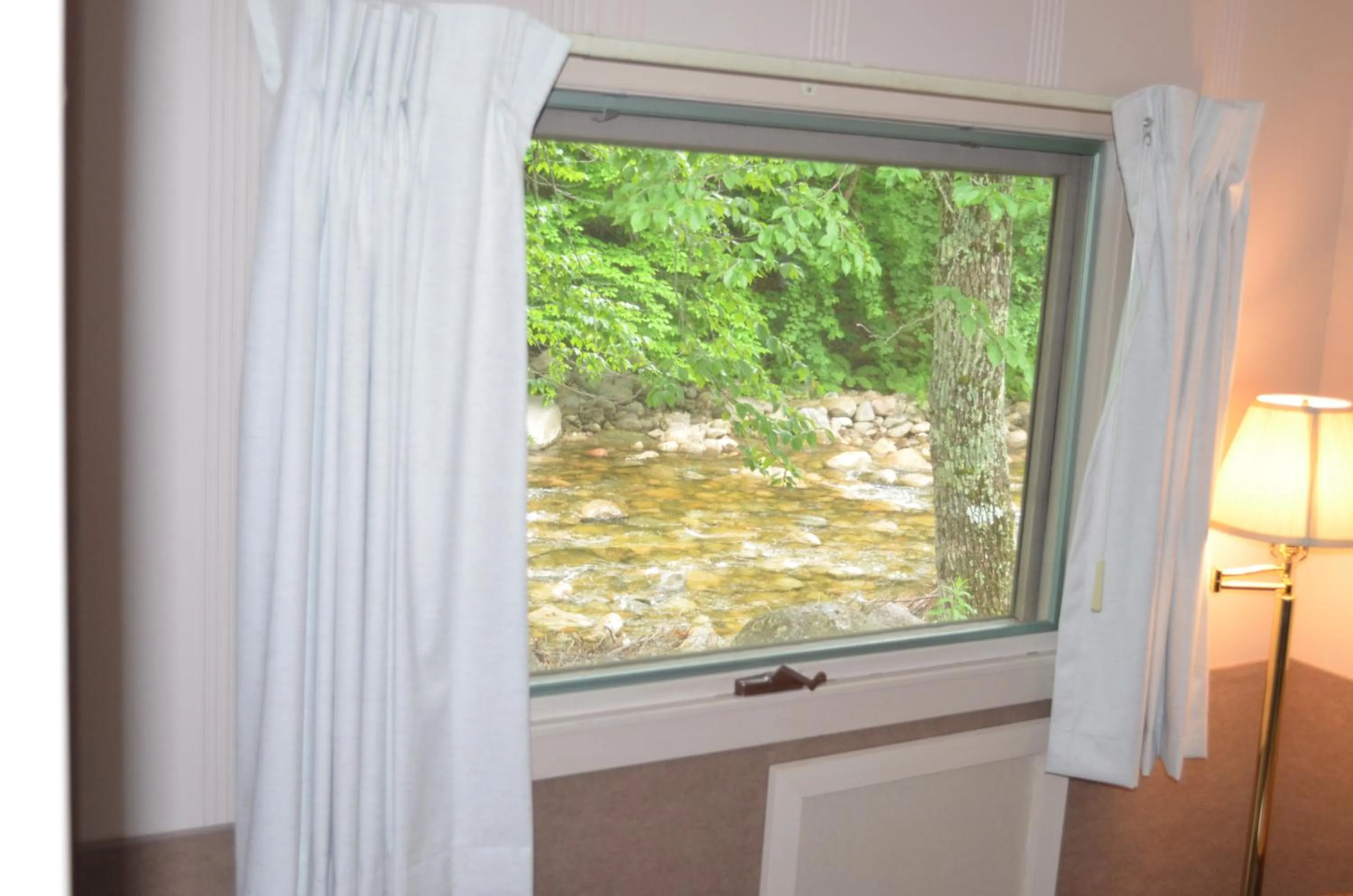 View (from property/room) in Mount Coolidge Motel