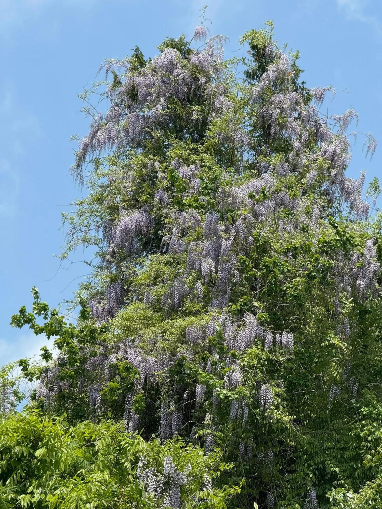 Natural landscape in Yardarm Motel