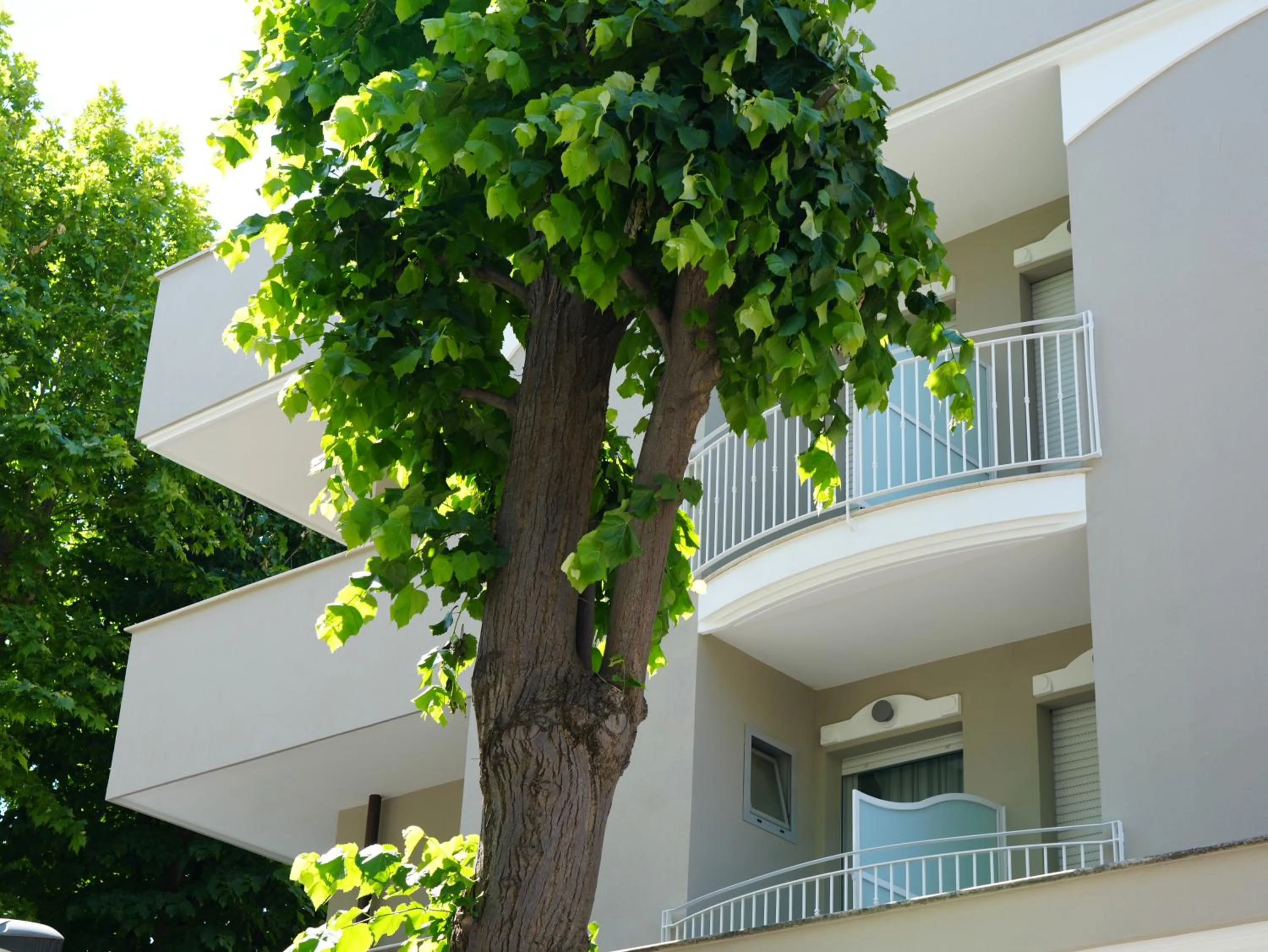 Property building in Hotel Regal