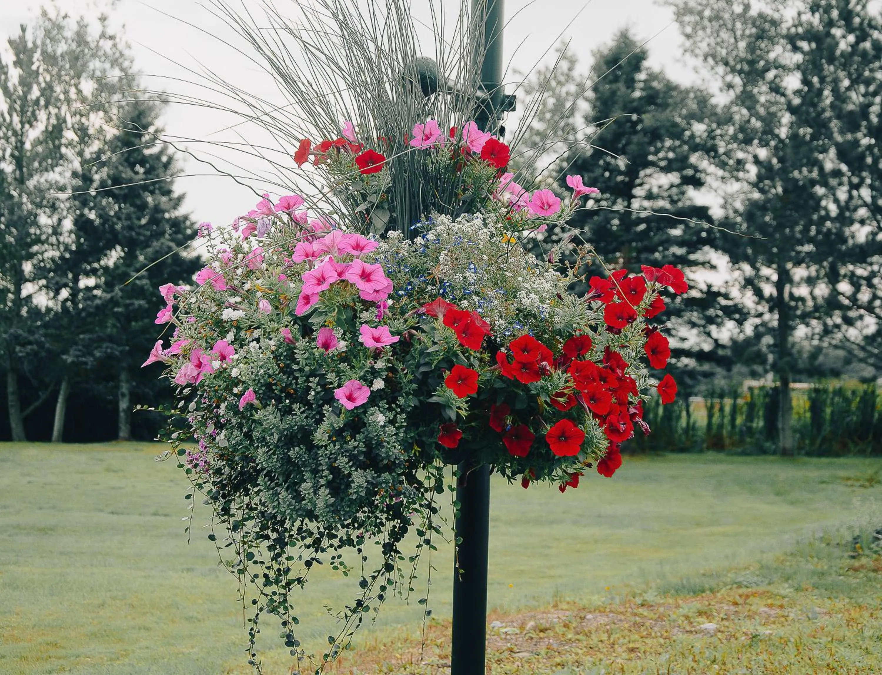 Activities in Ceilidh Country Lodge