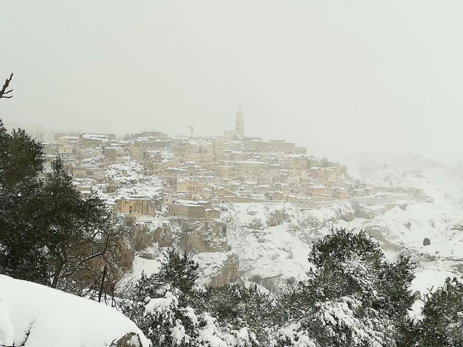 Il Cucù Bed and Breakfast Il Cucù Bed and Breakfast