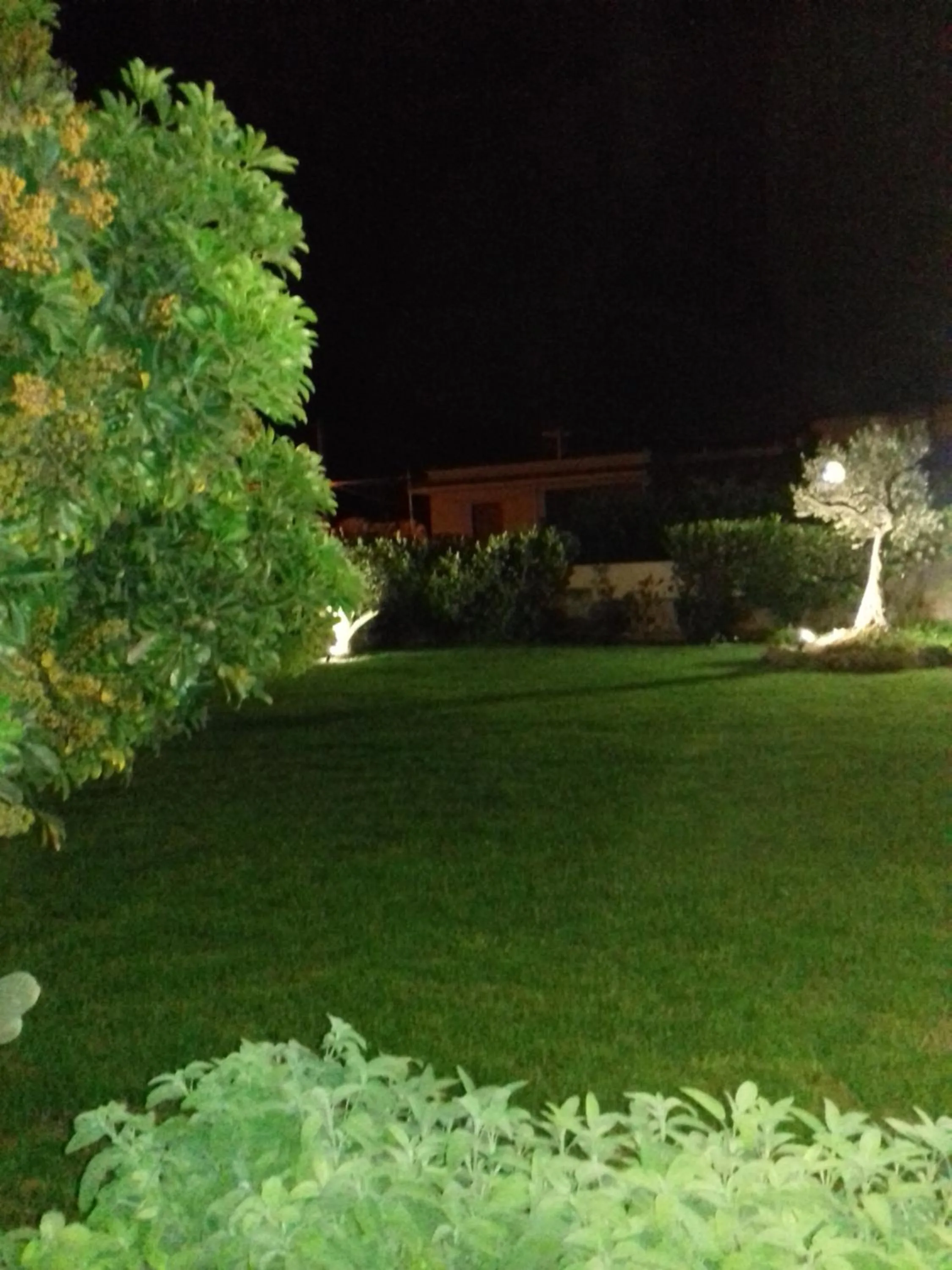Garden view in Stella di Mare Appartamenti