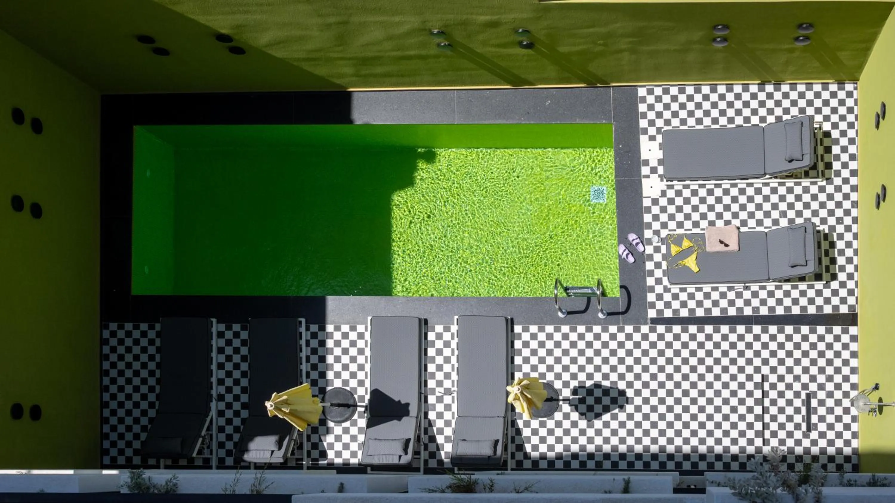 Swimming pool in The Pal Living in a Concept