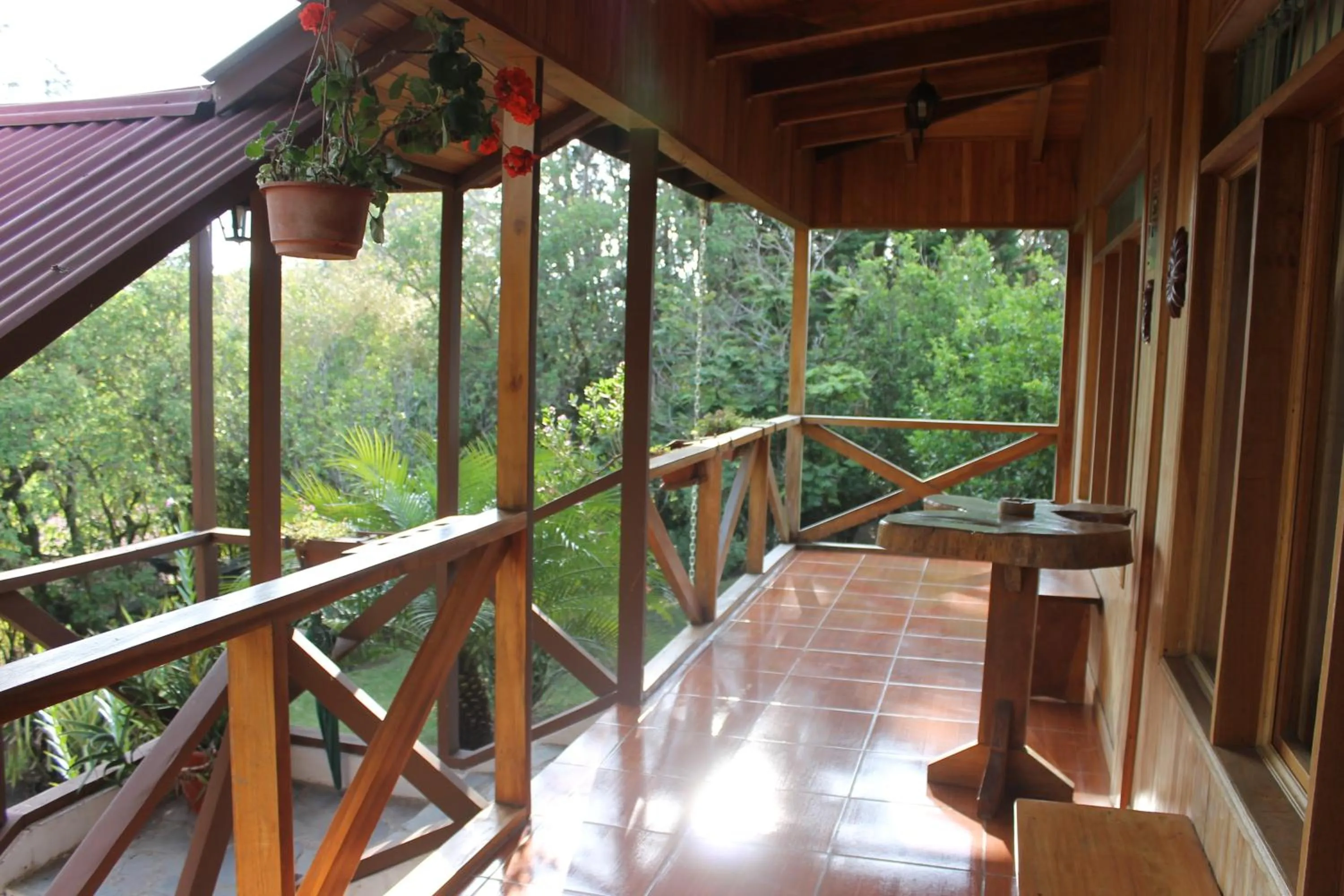 Natural landscape in Hotel Holístico Monteverde