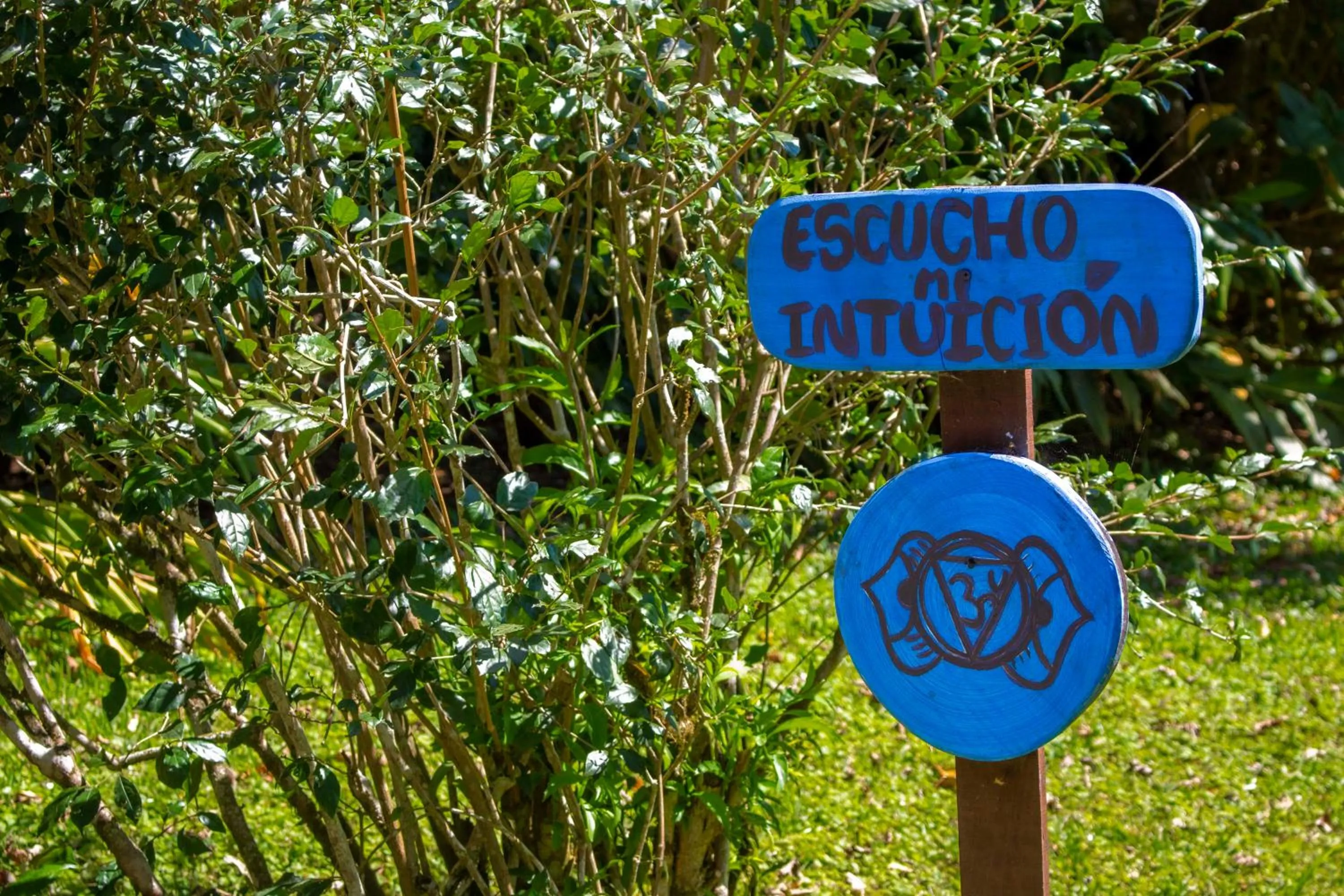 Garden in Hotel Holístico Monteverde