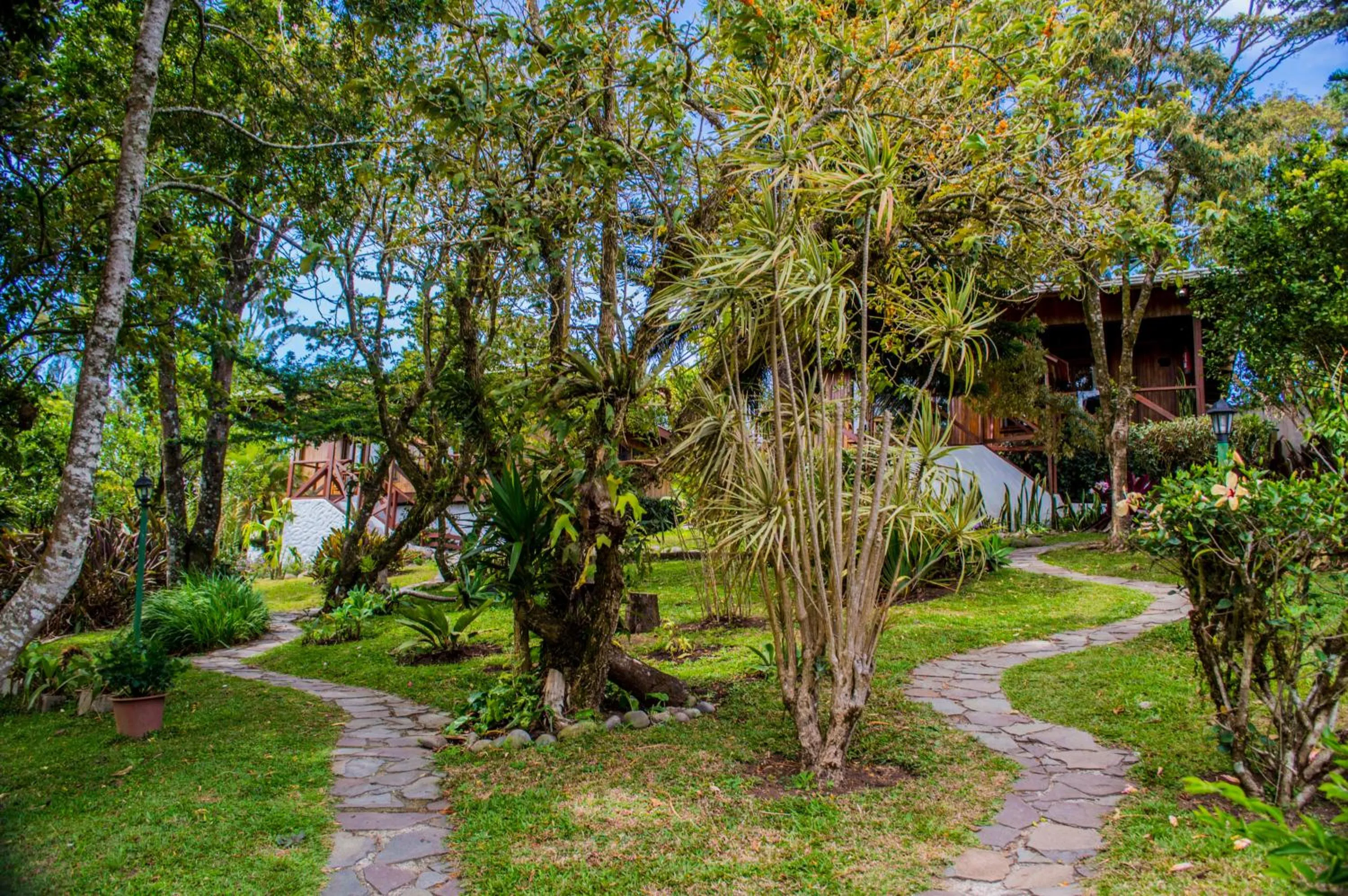 Seating area in Hotel Holístico Monteverde