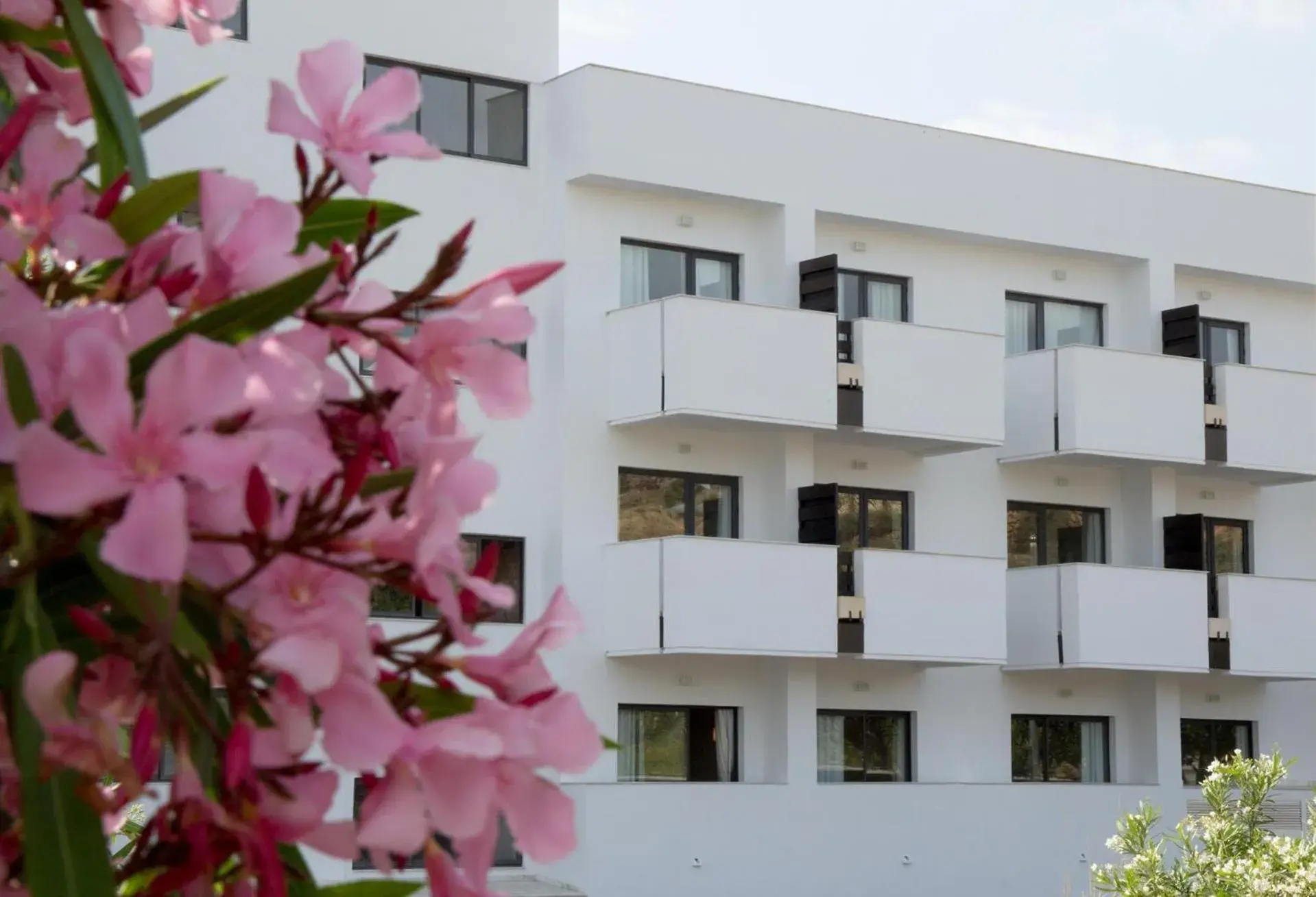 Property building in ALEGRIA Palacio Mojacar - Adults Only Property building in ALEGRIA Palacio Mojacar - Adults Only