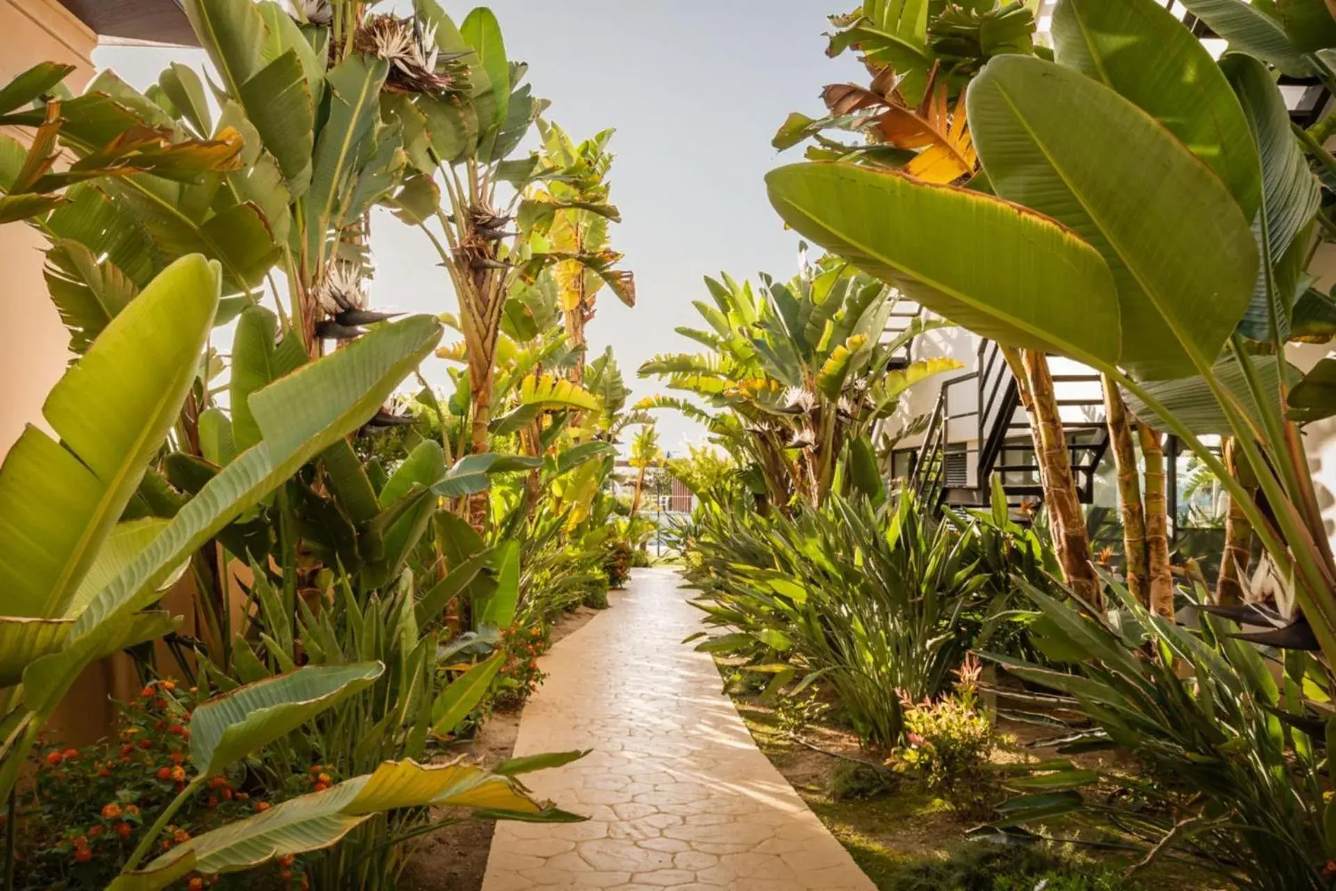 The Place Palacio Mojacar & Spa by ALEGRIA Adults Only The Place Palacio Mojacar & Spa by ALEGRIA Adults Only