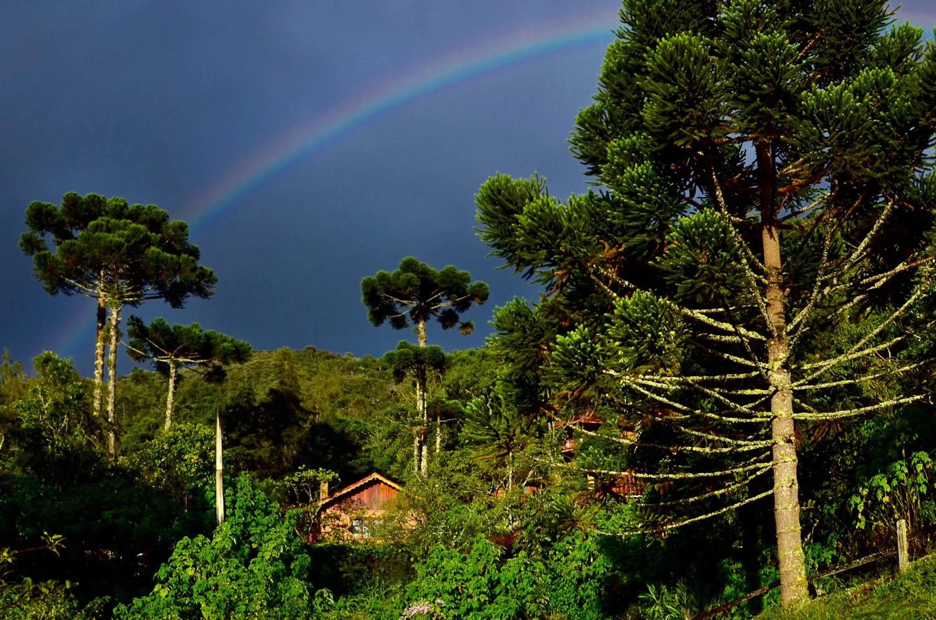 Landmark view in Pousada Das Araucárias