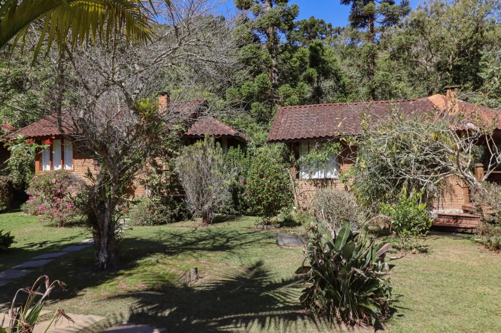 Pousada Das Araucárias