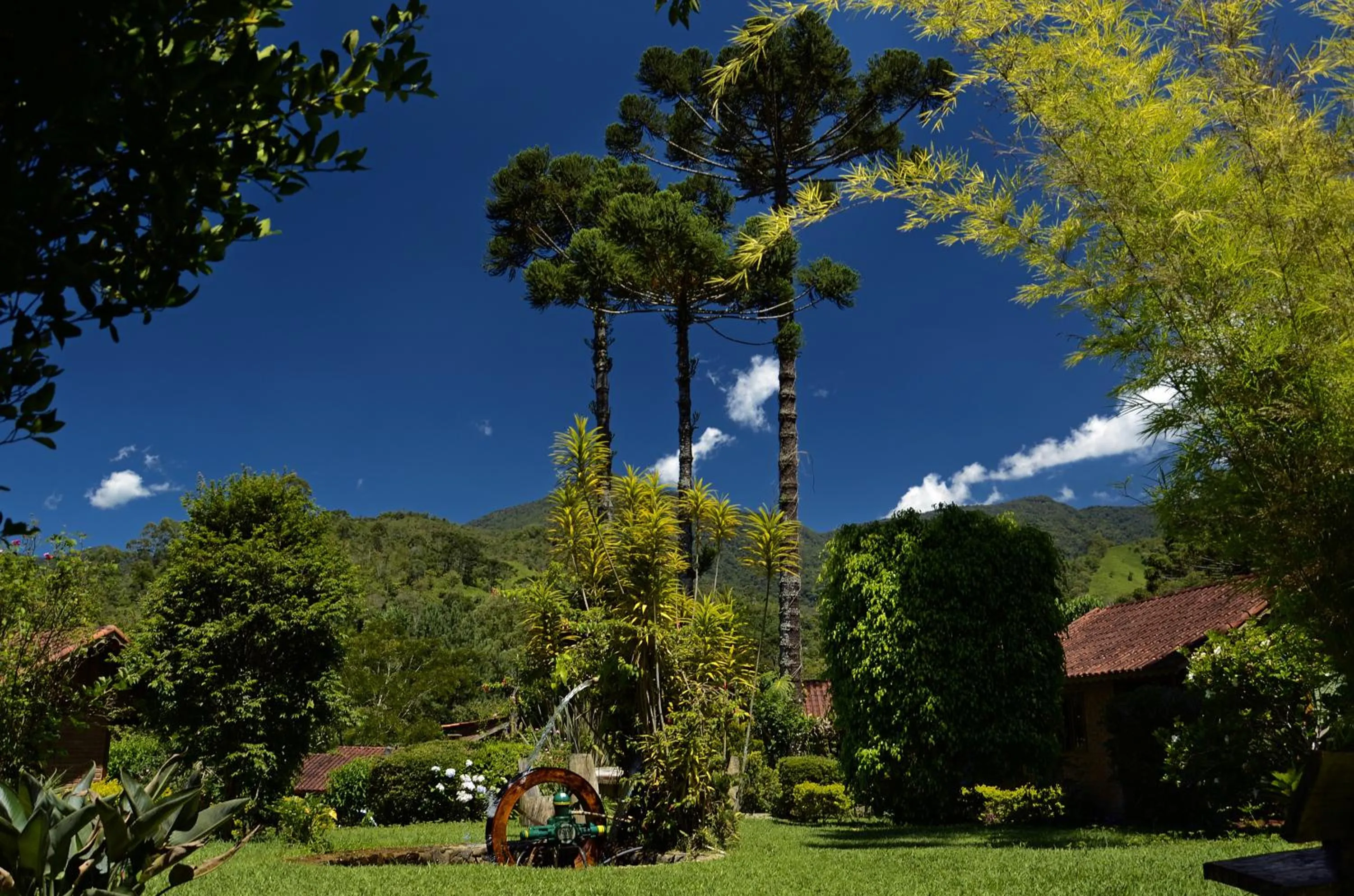 Garden view in Pousada Das Araucárias