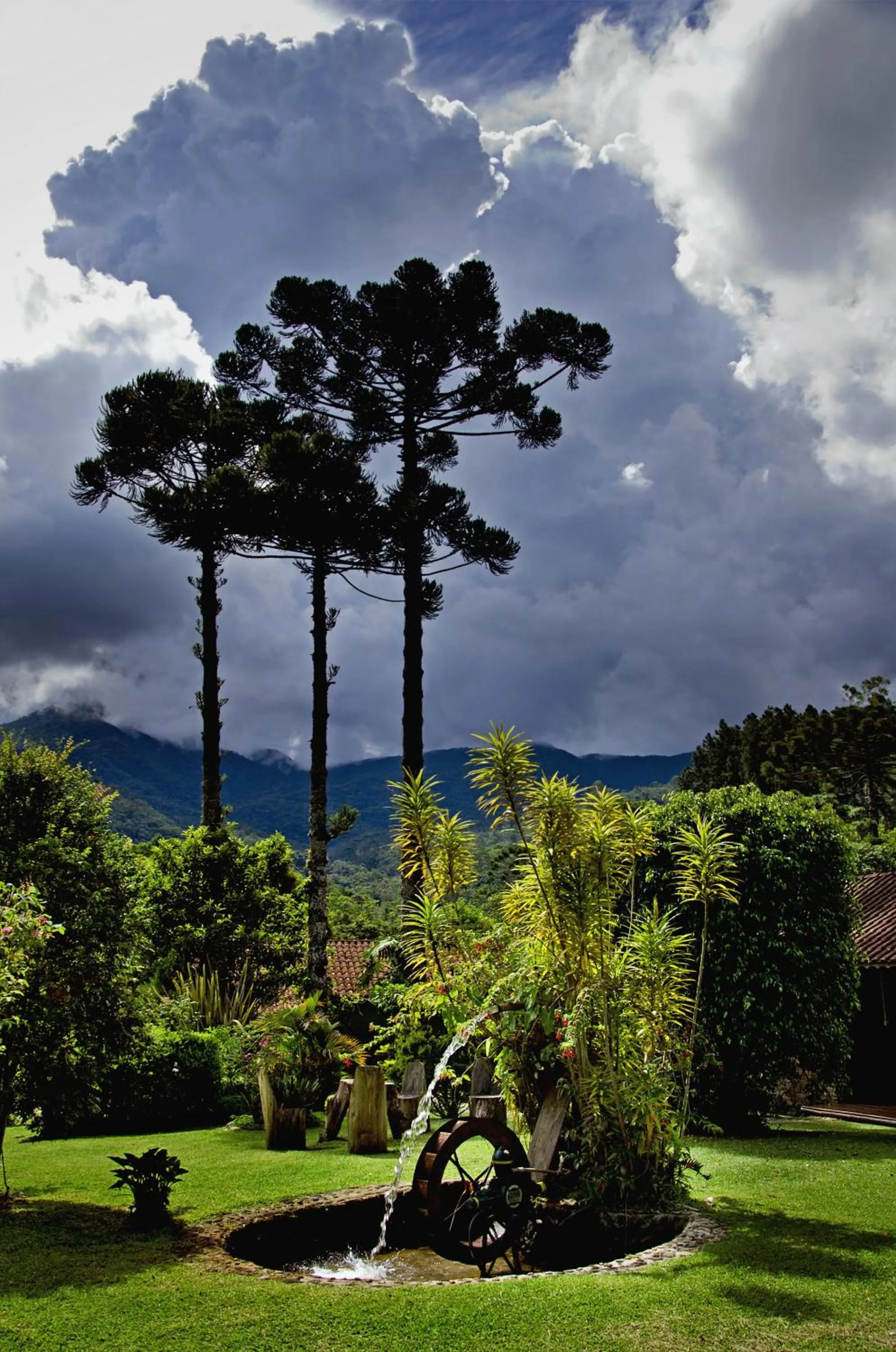 Garden view in Pousada Das Araucárias