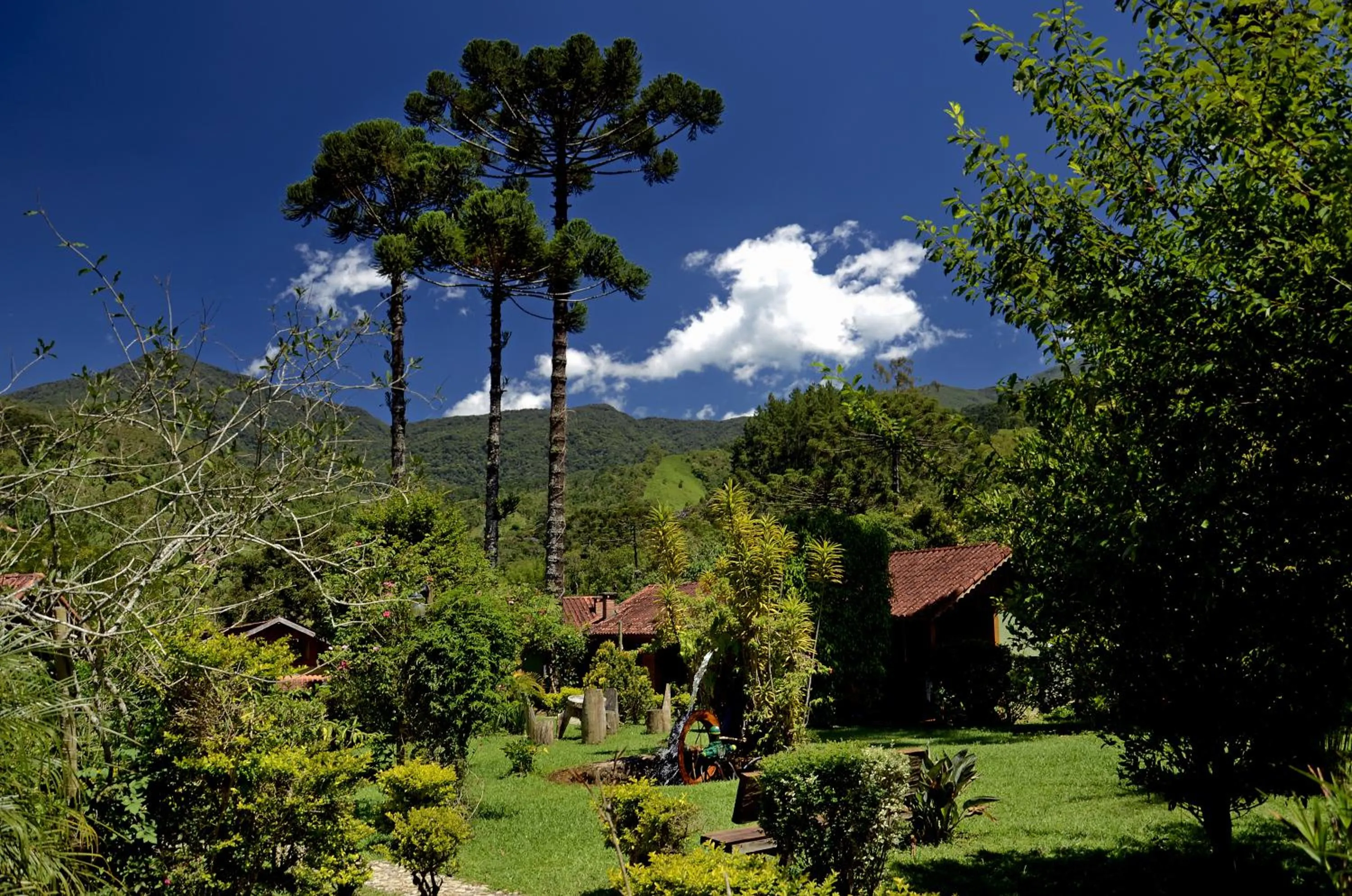 Garden view in Pousada Das Araucárias