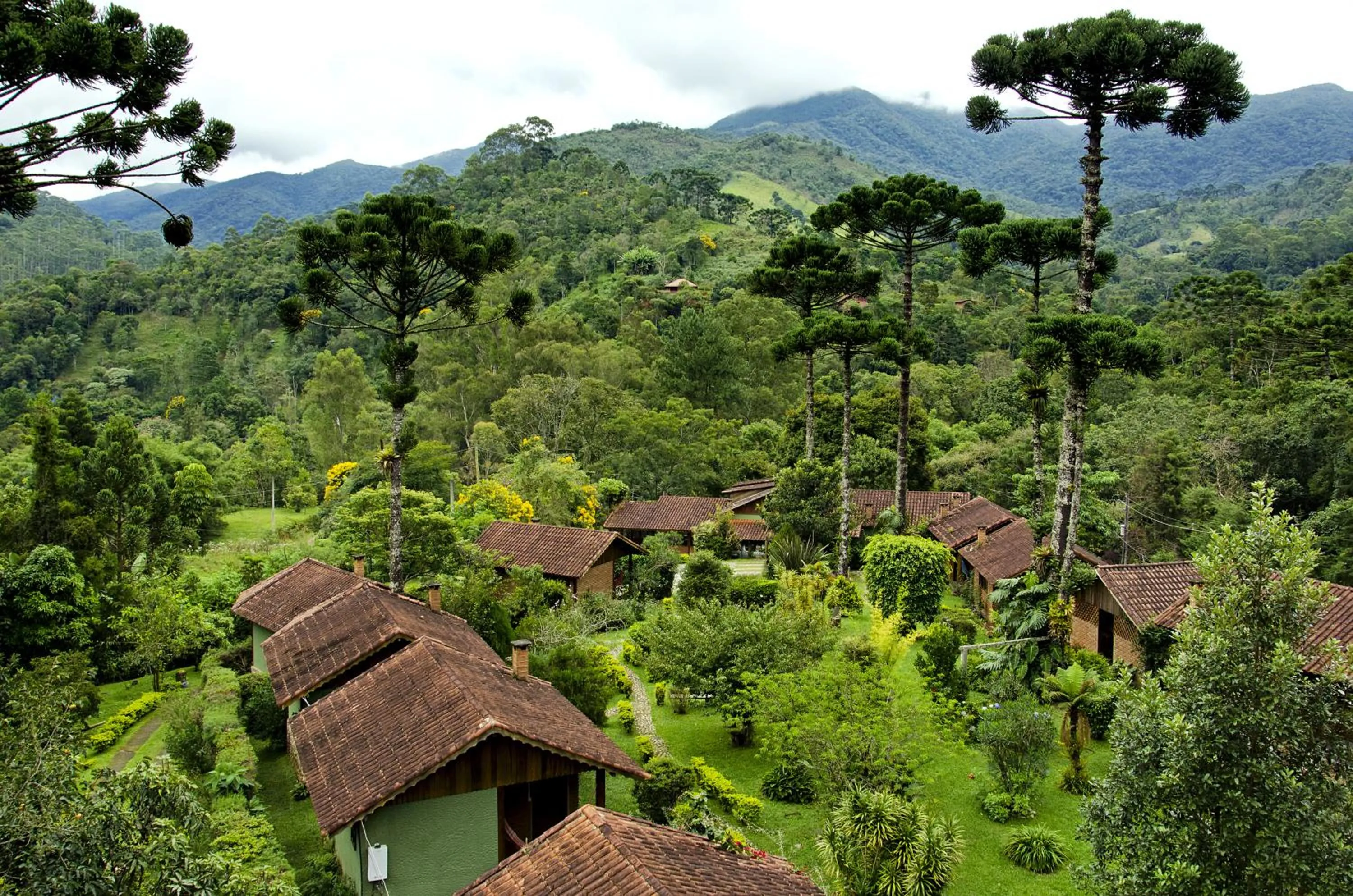 Garden view in Pousada Das Araucárias