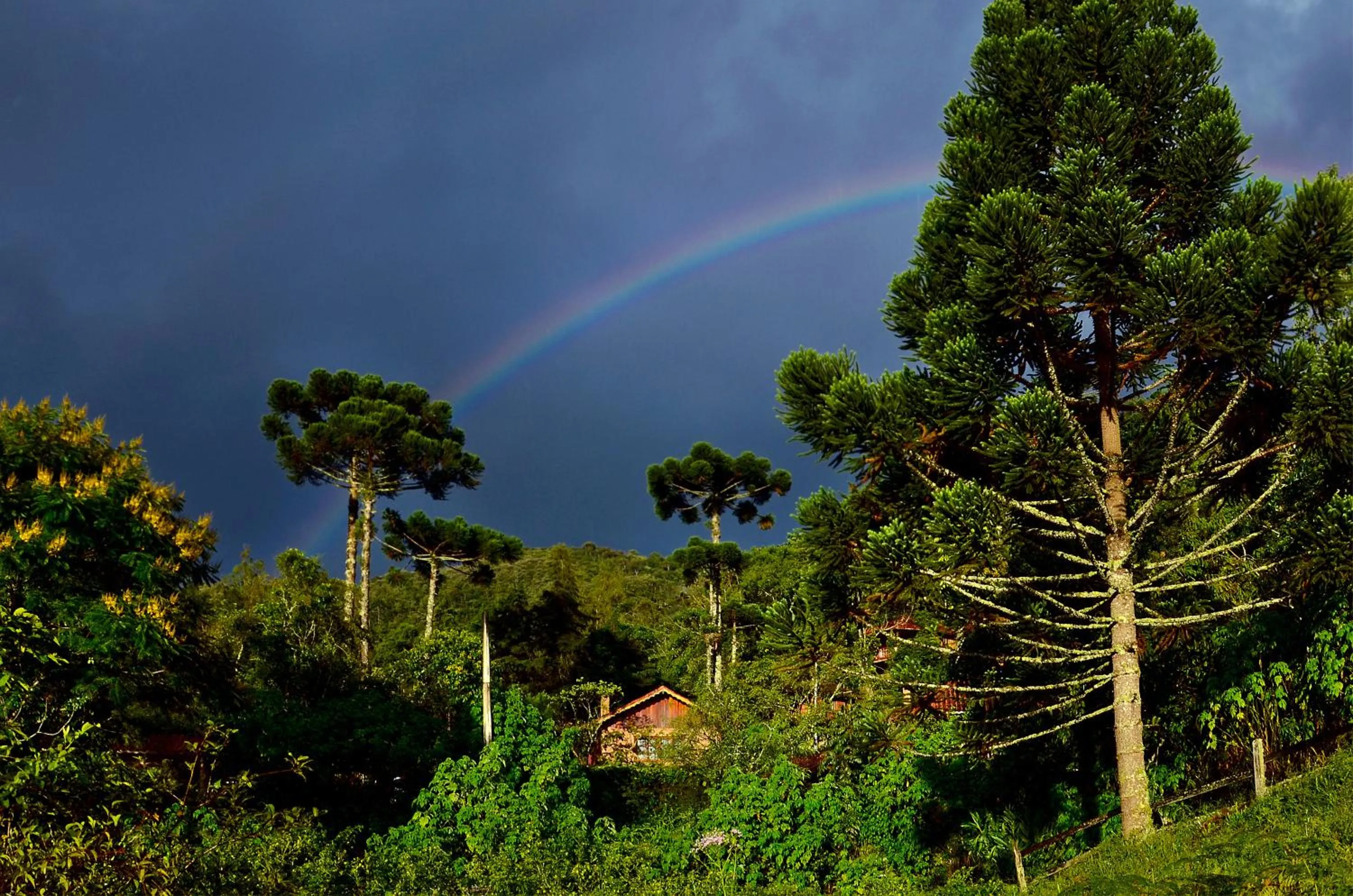Garden view in Pousada Das Araucárias