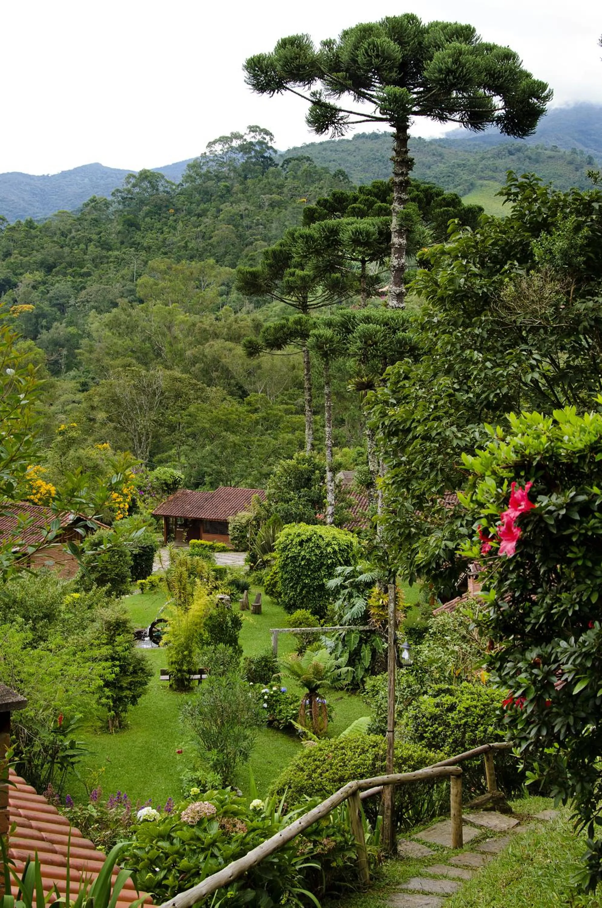 Garden view in Pousada Das Araucárias