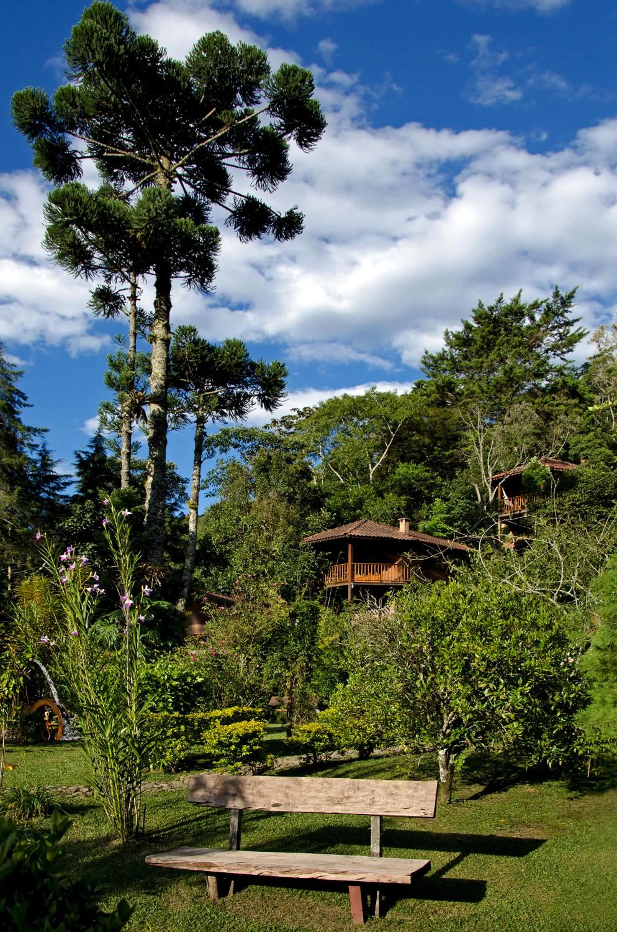Garden view in Pousada Das Araucárias