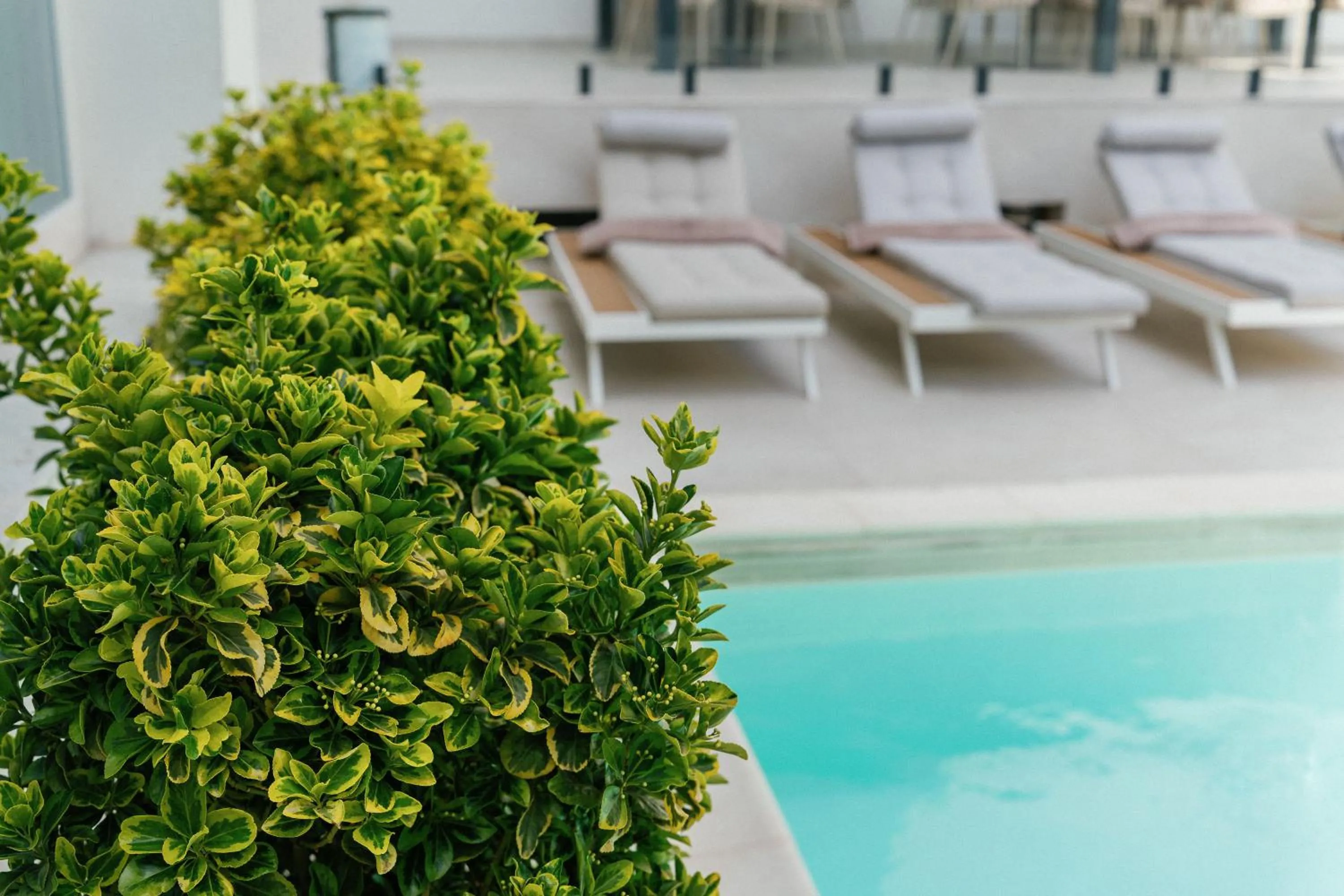 Swimming pool in ARIS Boutique Hotel & SPA