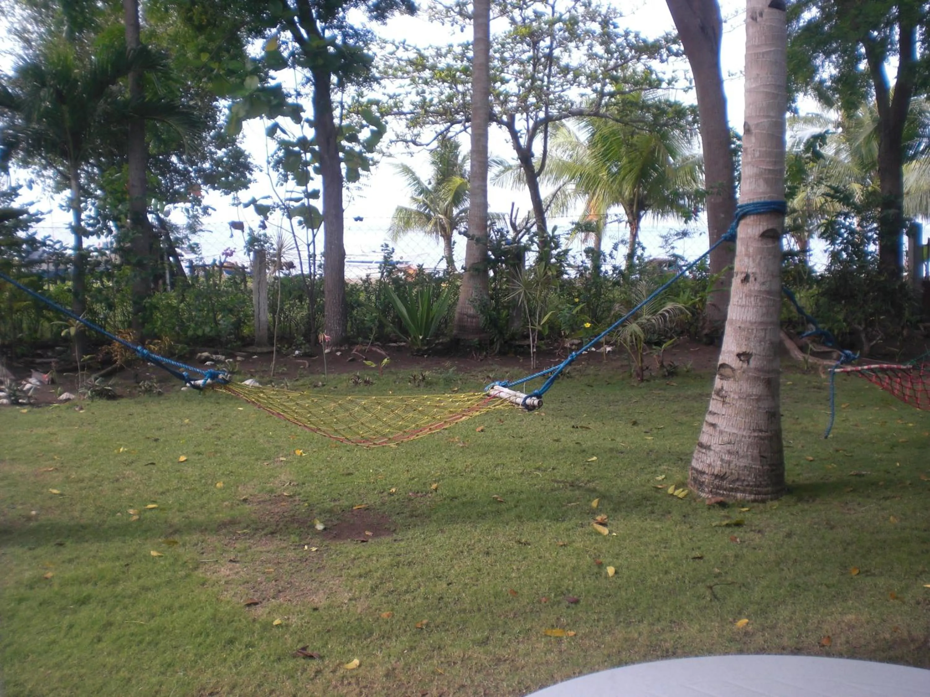 Natural landscape in Villa Juana