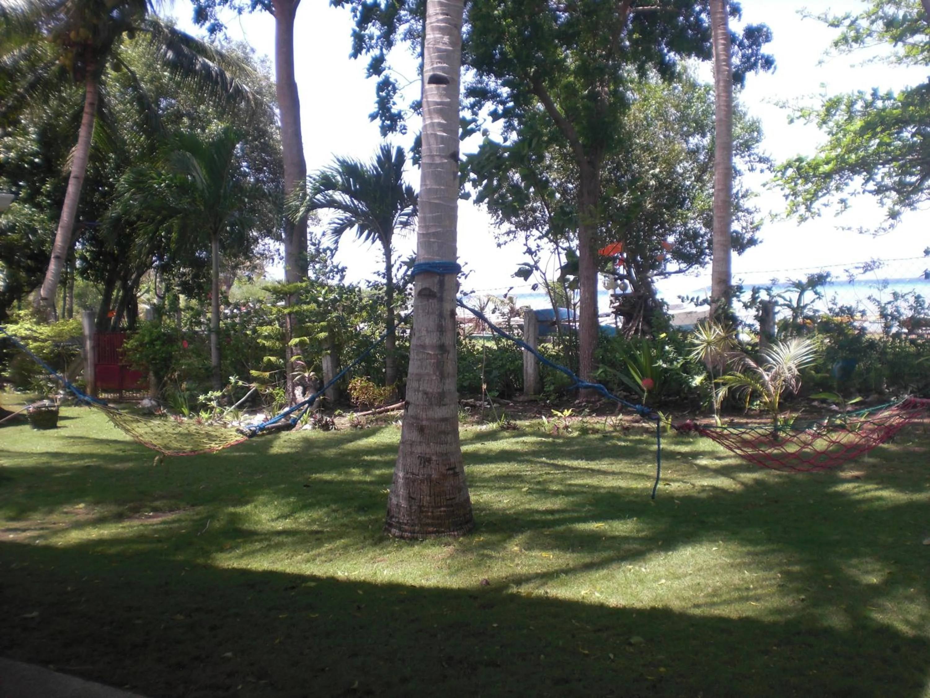 Garden in Villa Juana