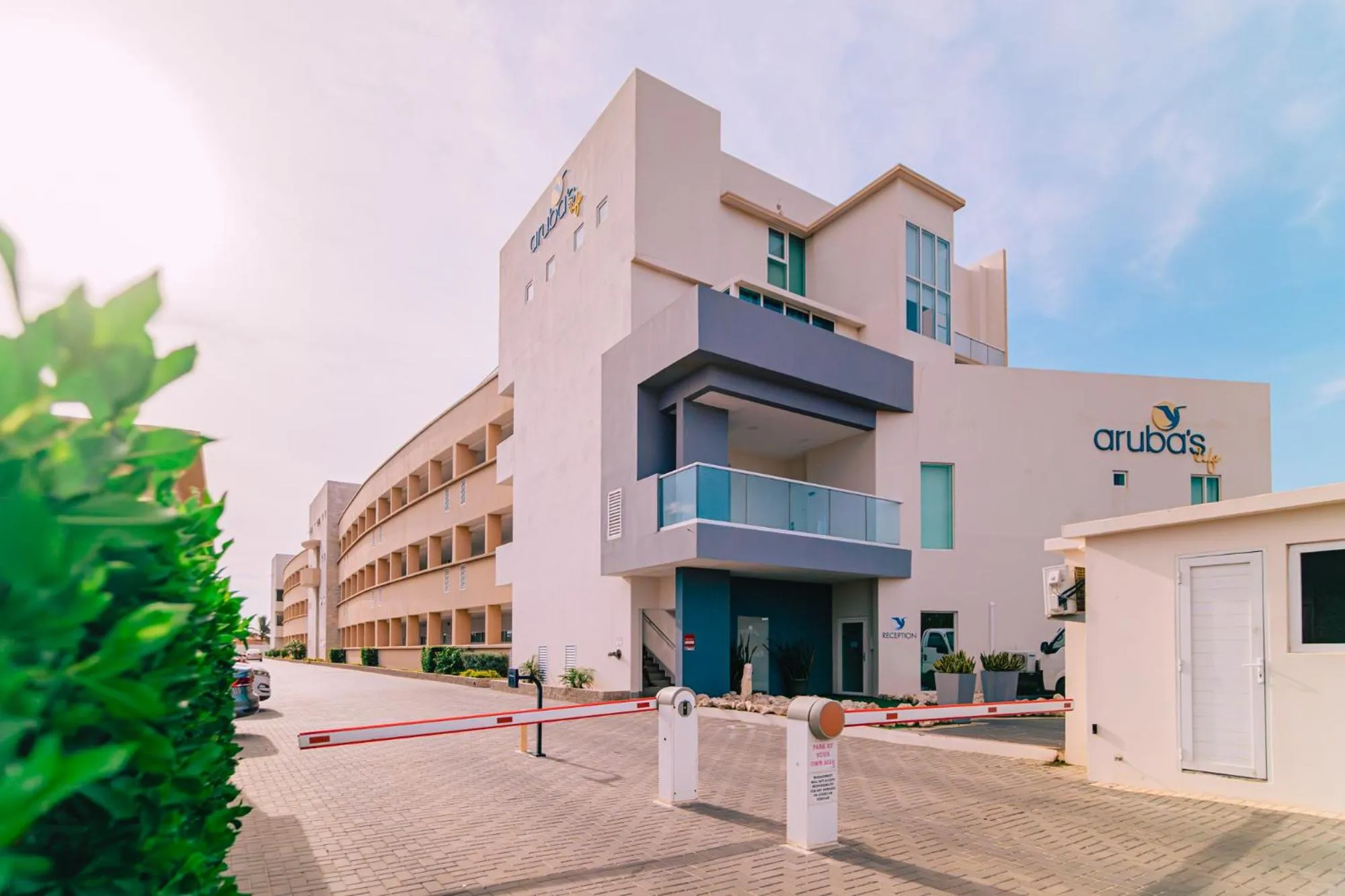 Aruba's Life Residences