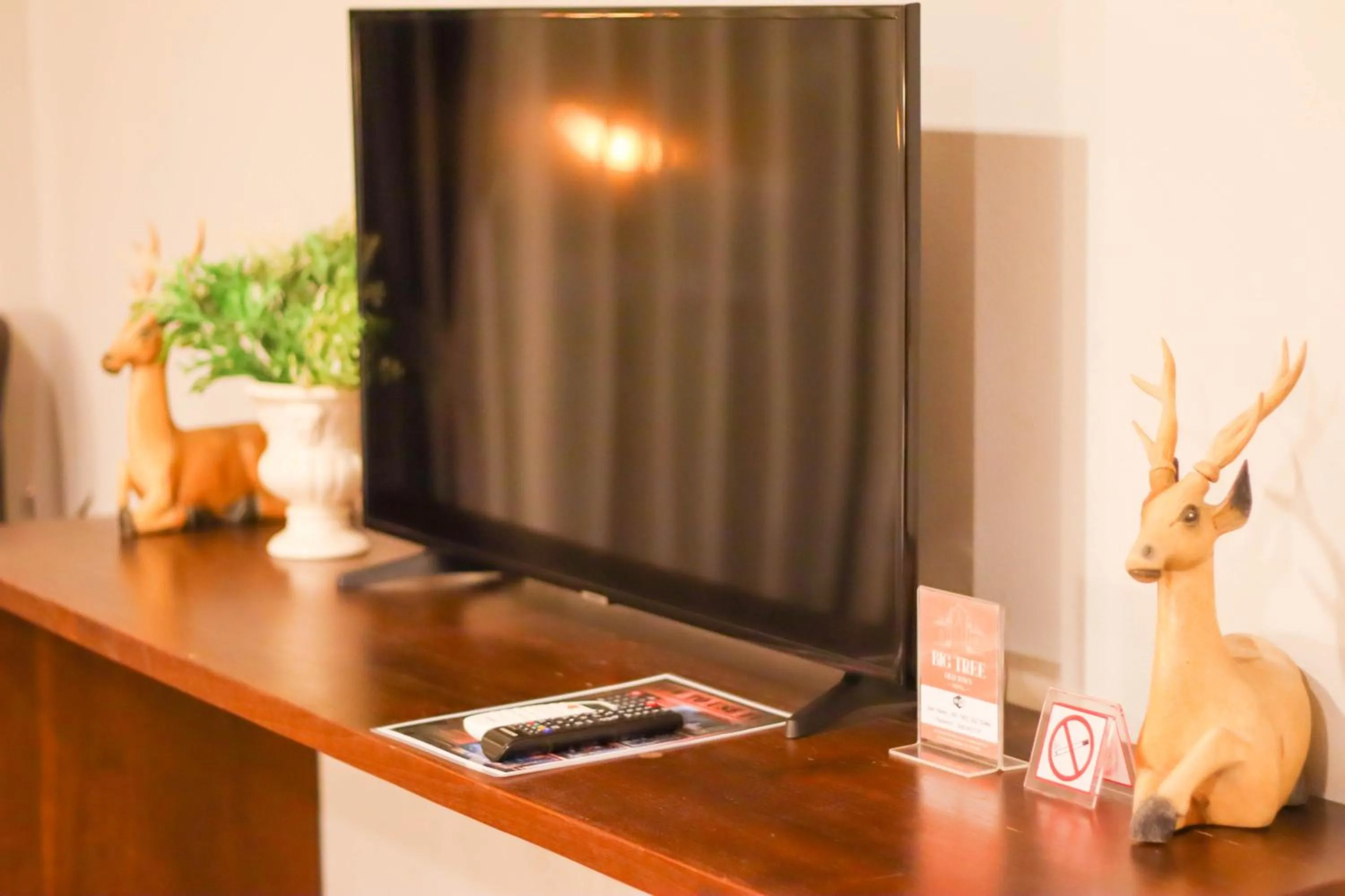 TV and multimedia in Big Tree Old Town Hotel