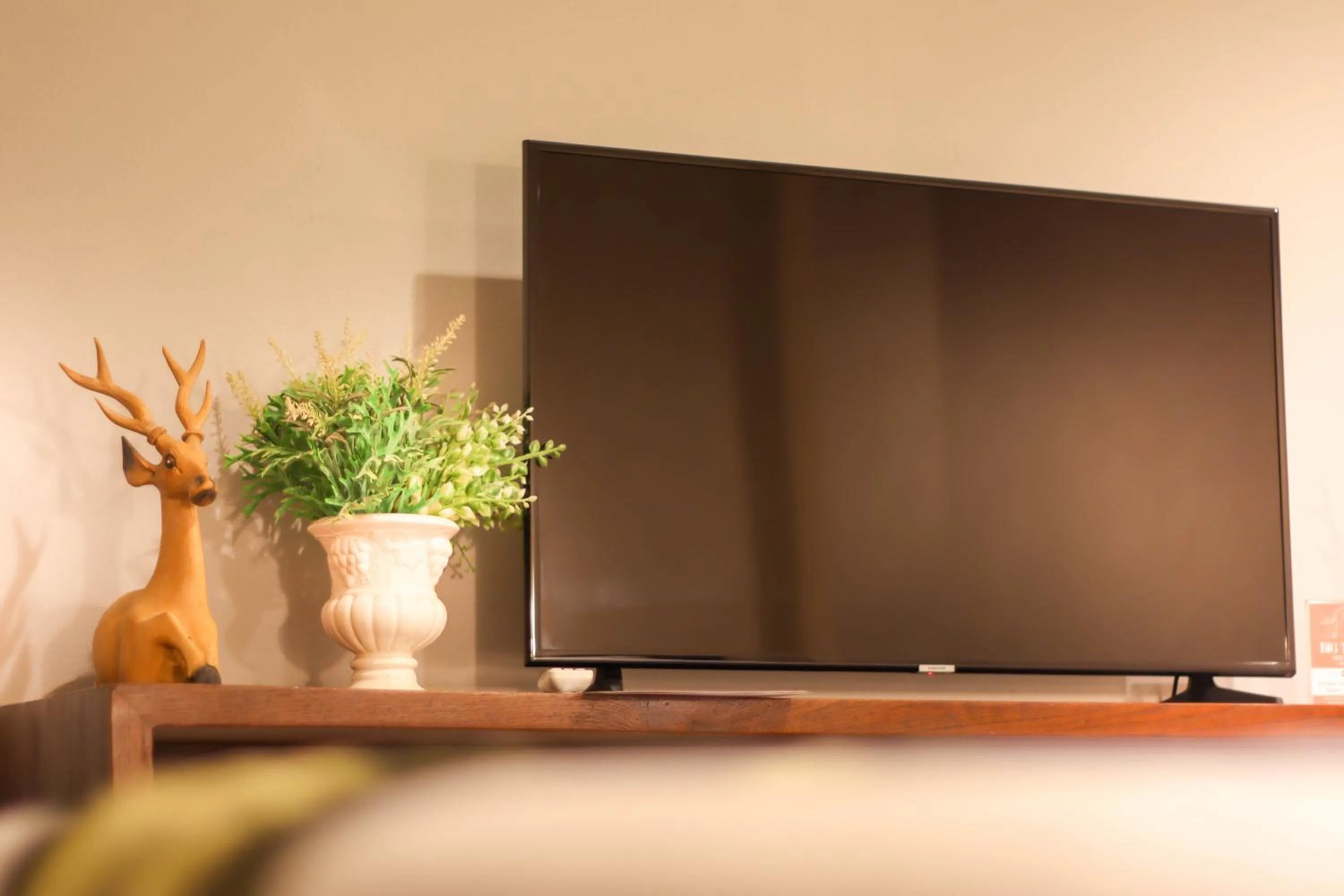 TV and multimedia in Big Tree Old Town Hotel