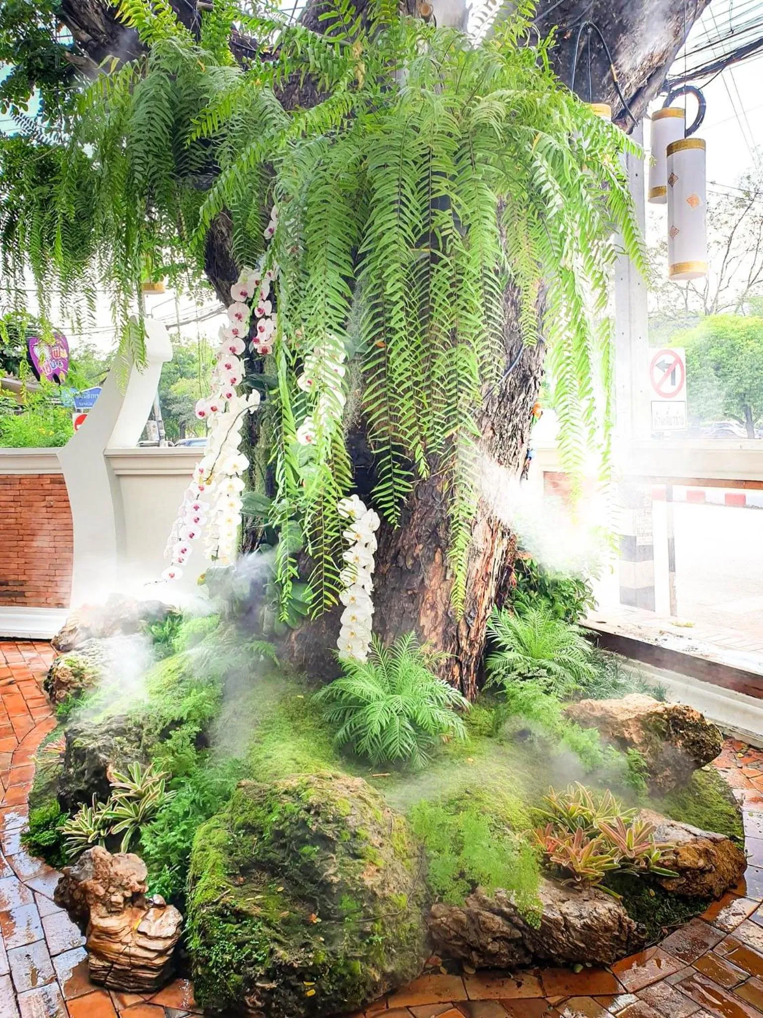 Garden in Big Tree Old Town Hotel