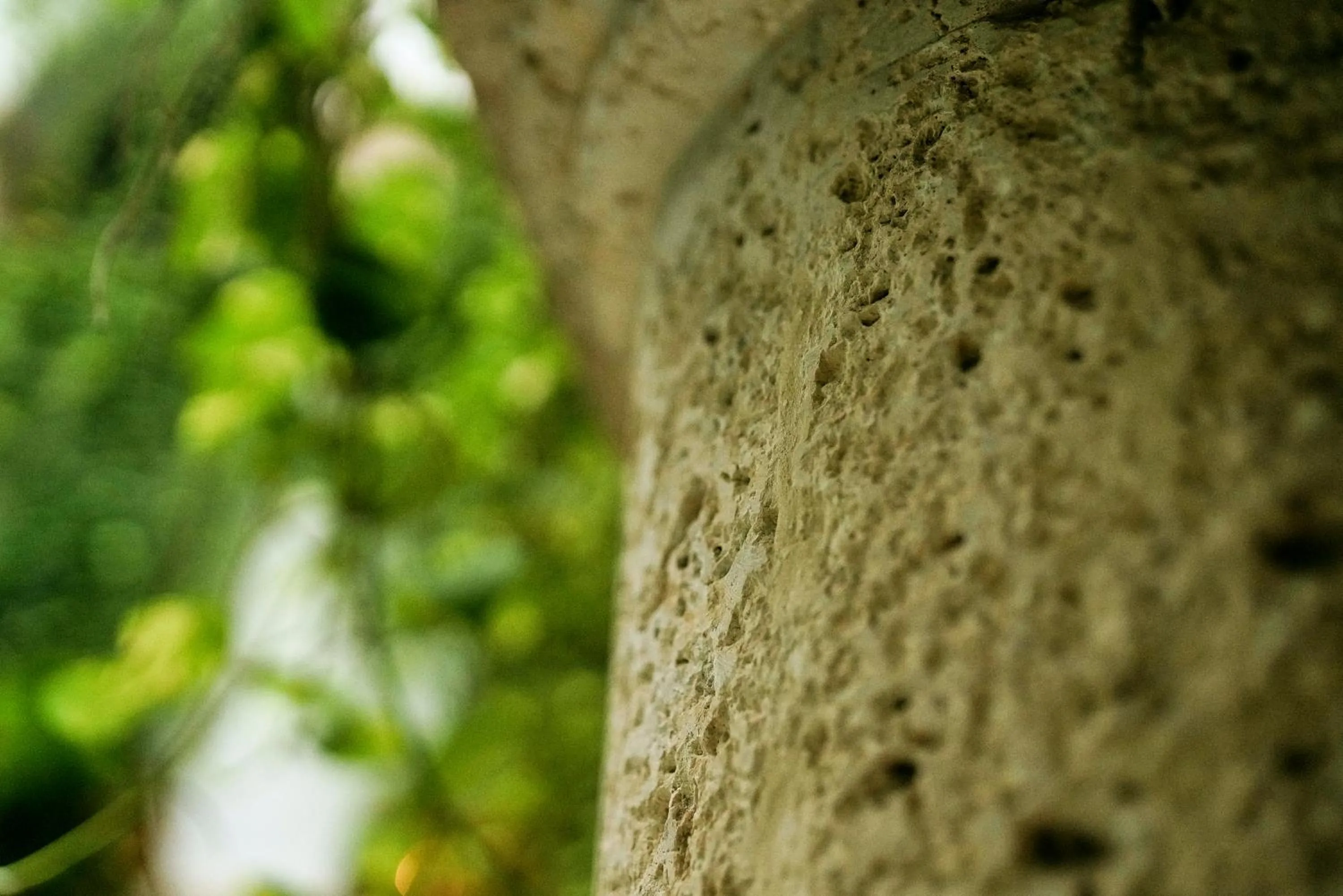 Property building in Hotel Boutique Patio Corao