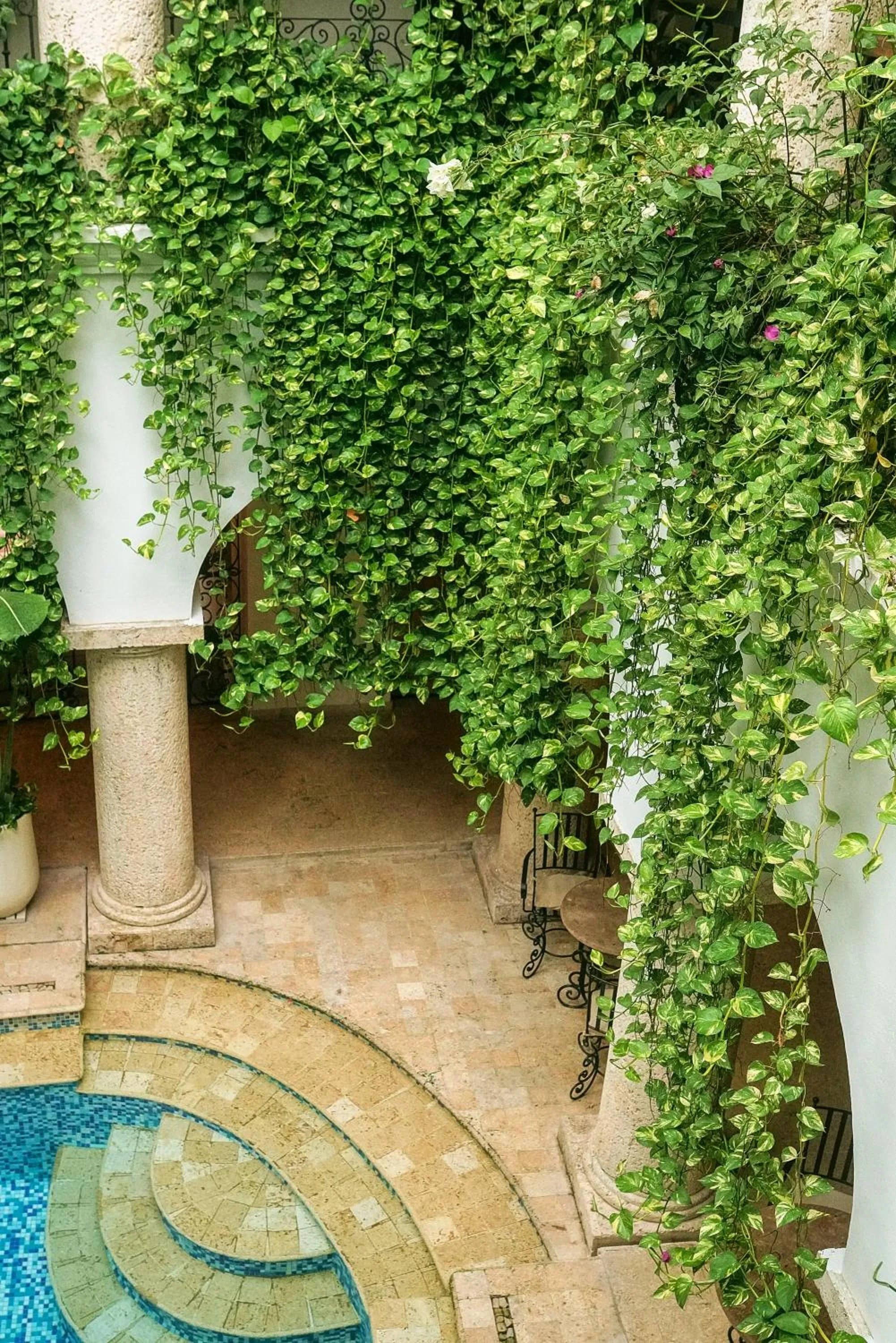 Swimming pool in Hotel Boutique Patio Corao