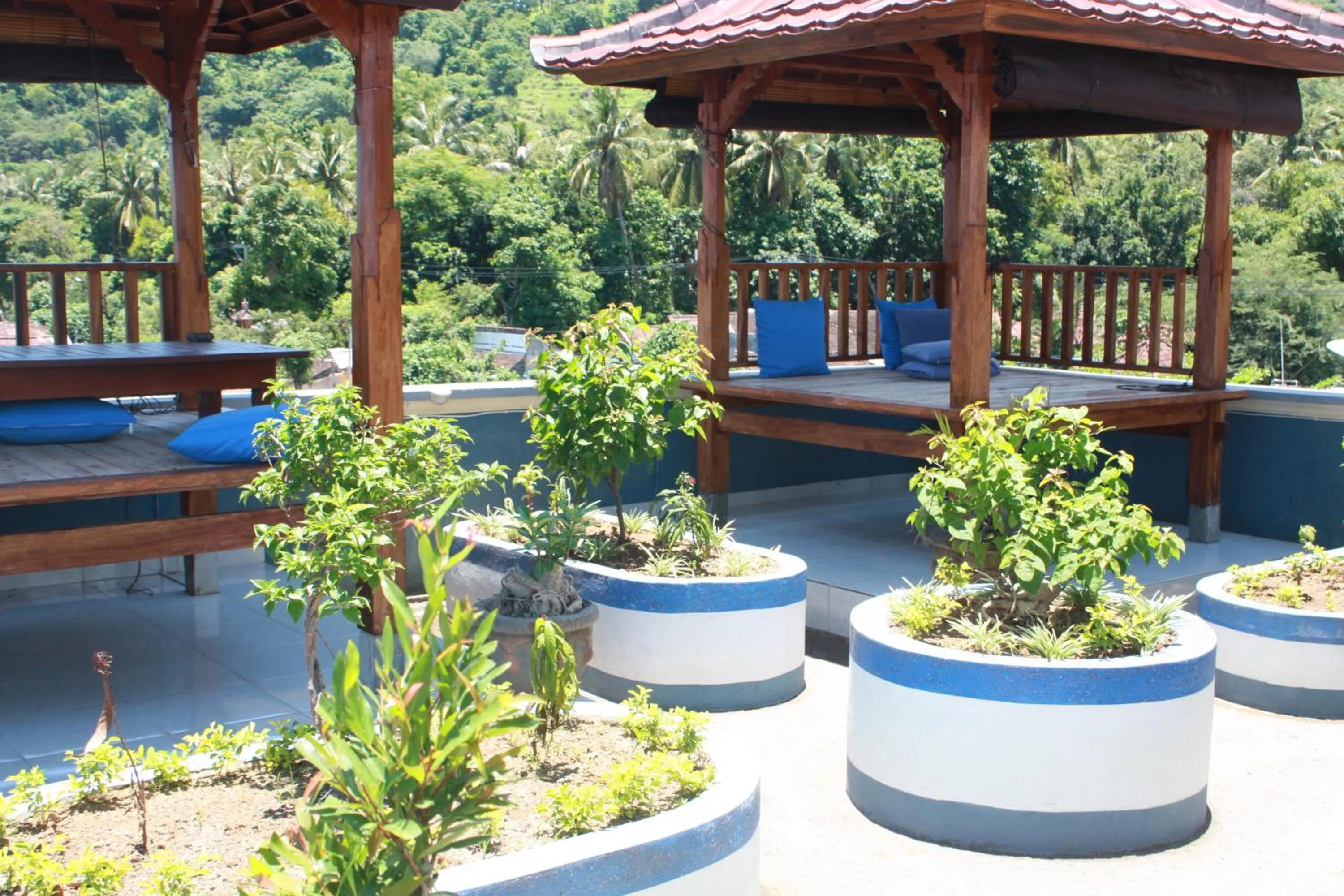 Garden in Sony Home Stay