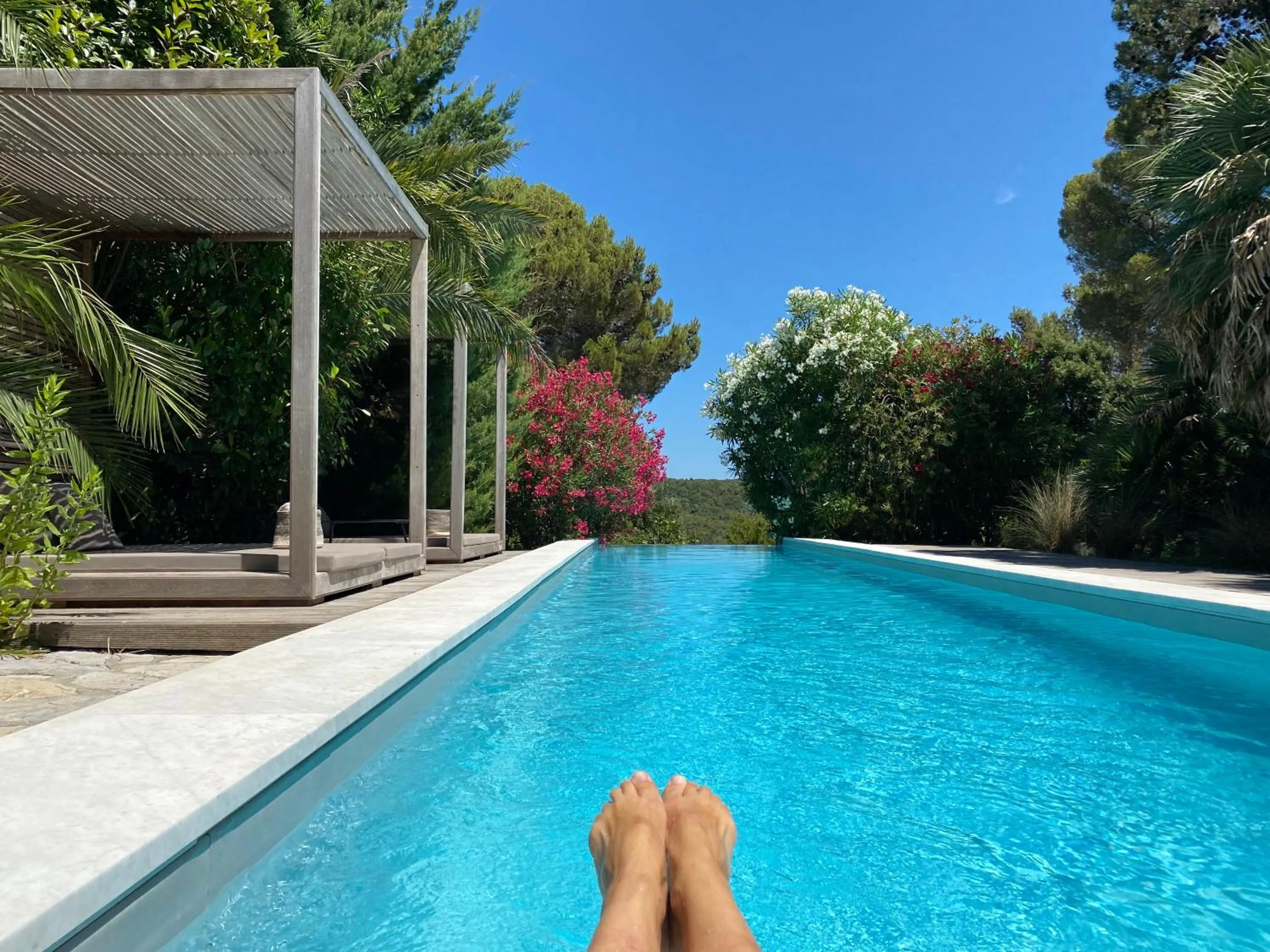 Swimming pool in Mediterranea Luxury House
