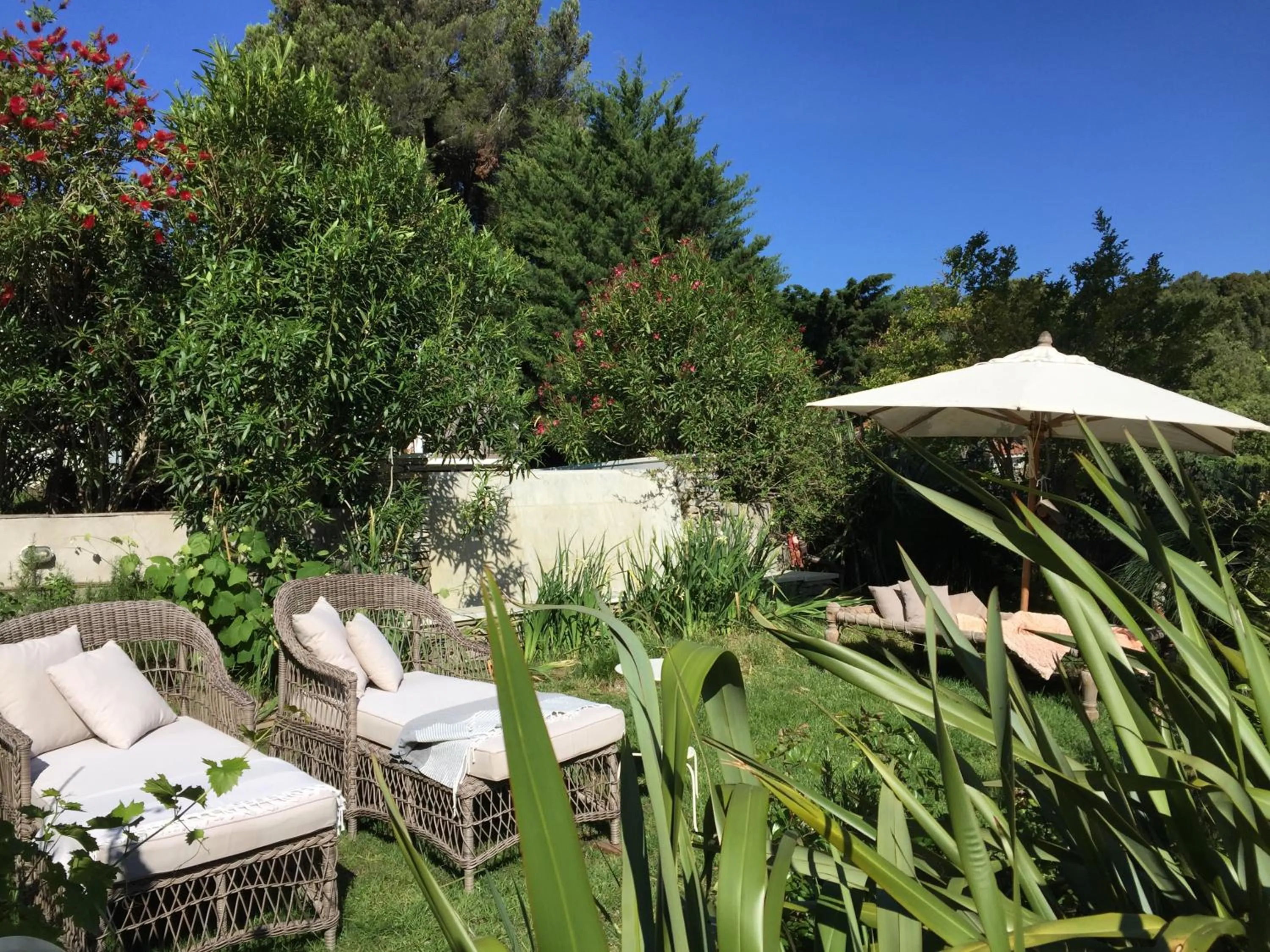 Garden in Mediterranea Luxury House