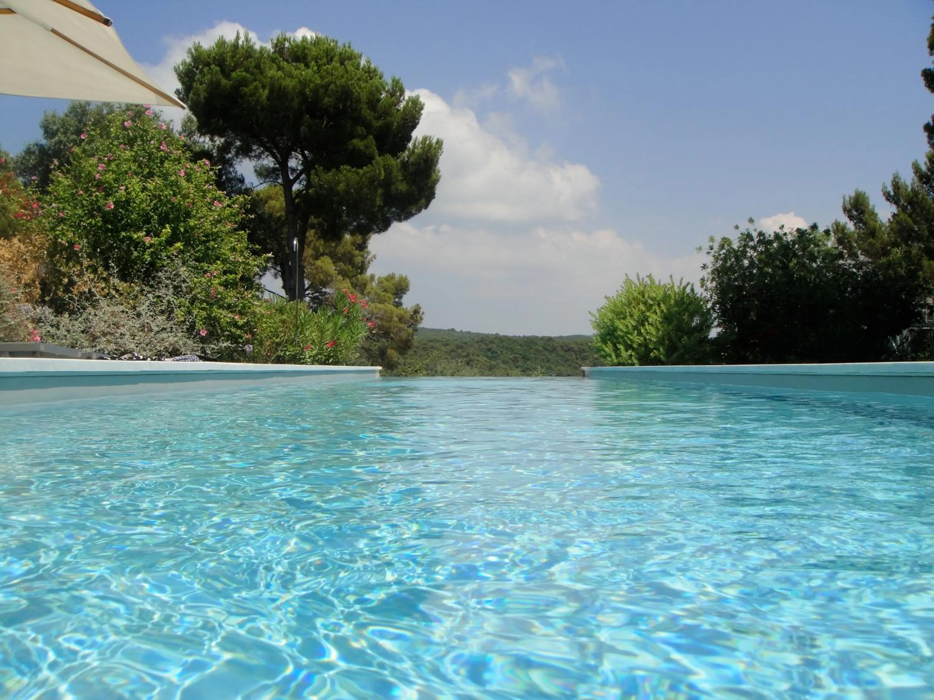 Pool view in Mediterranea Luxury House