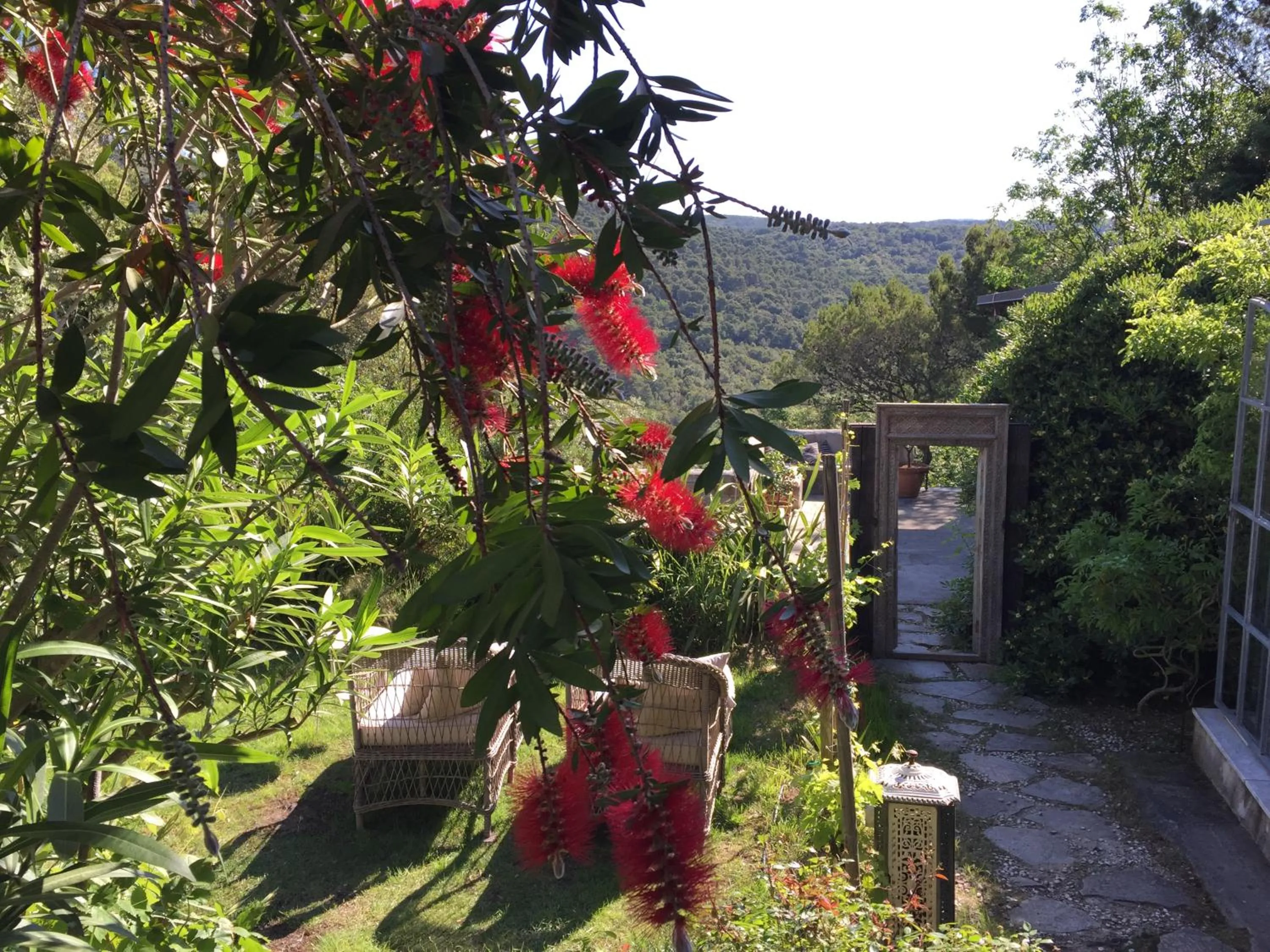 Garden in Mediterranea Luxury House