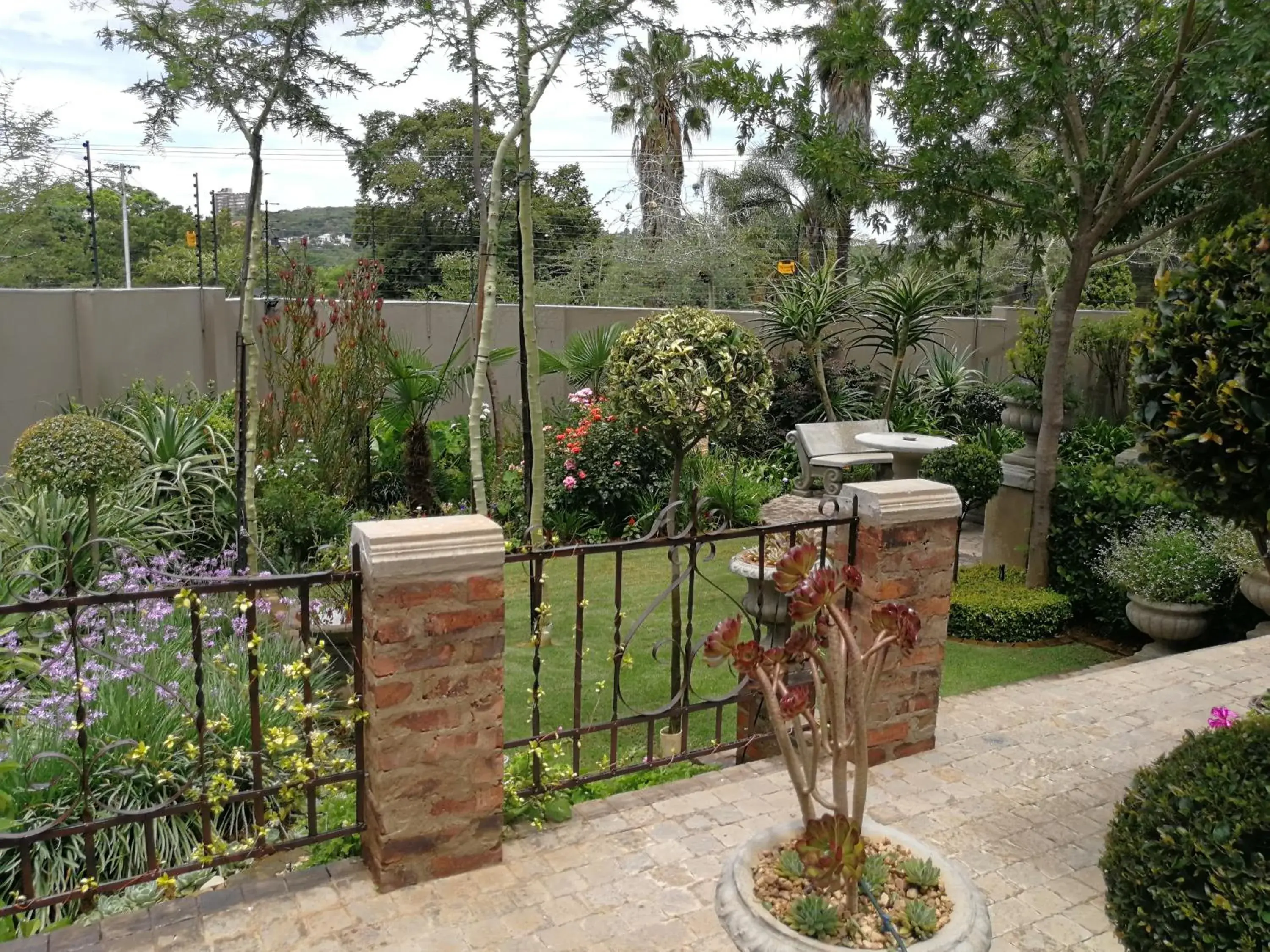 Garden in At 98 on Lynburn Guest House Garden in At 98 on Lynburn Guest House