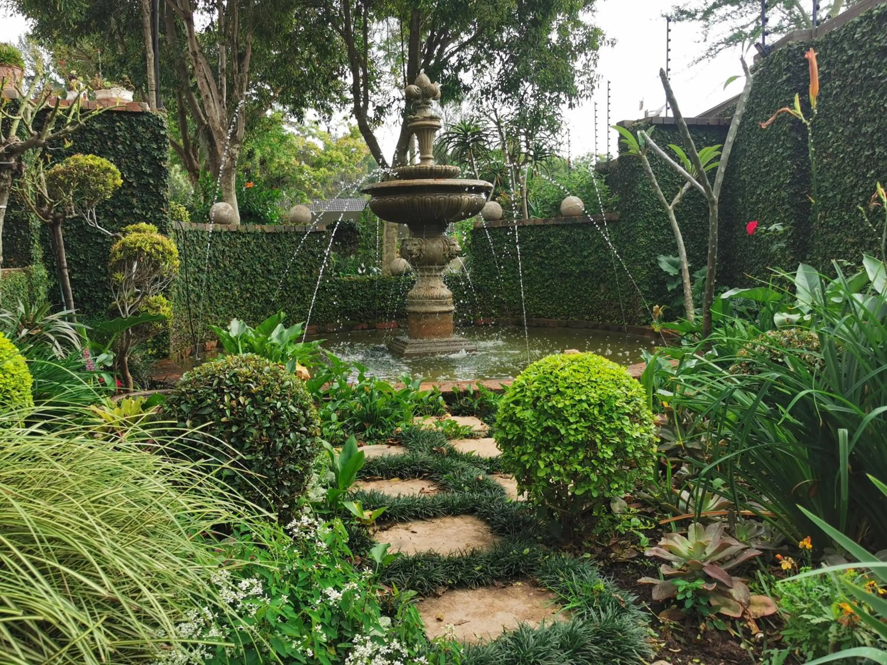 Garden in At 98 on Lynburn Guest House